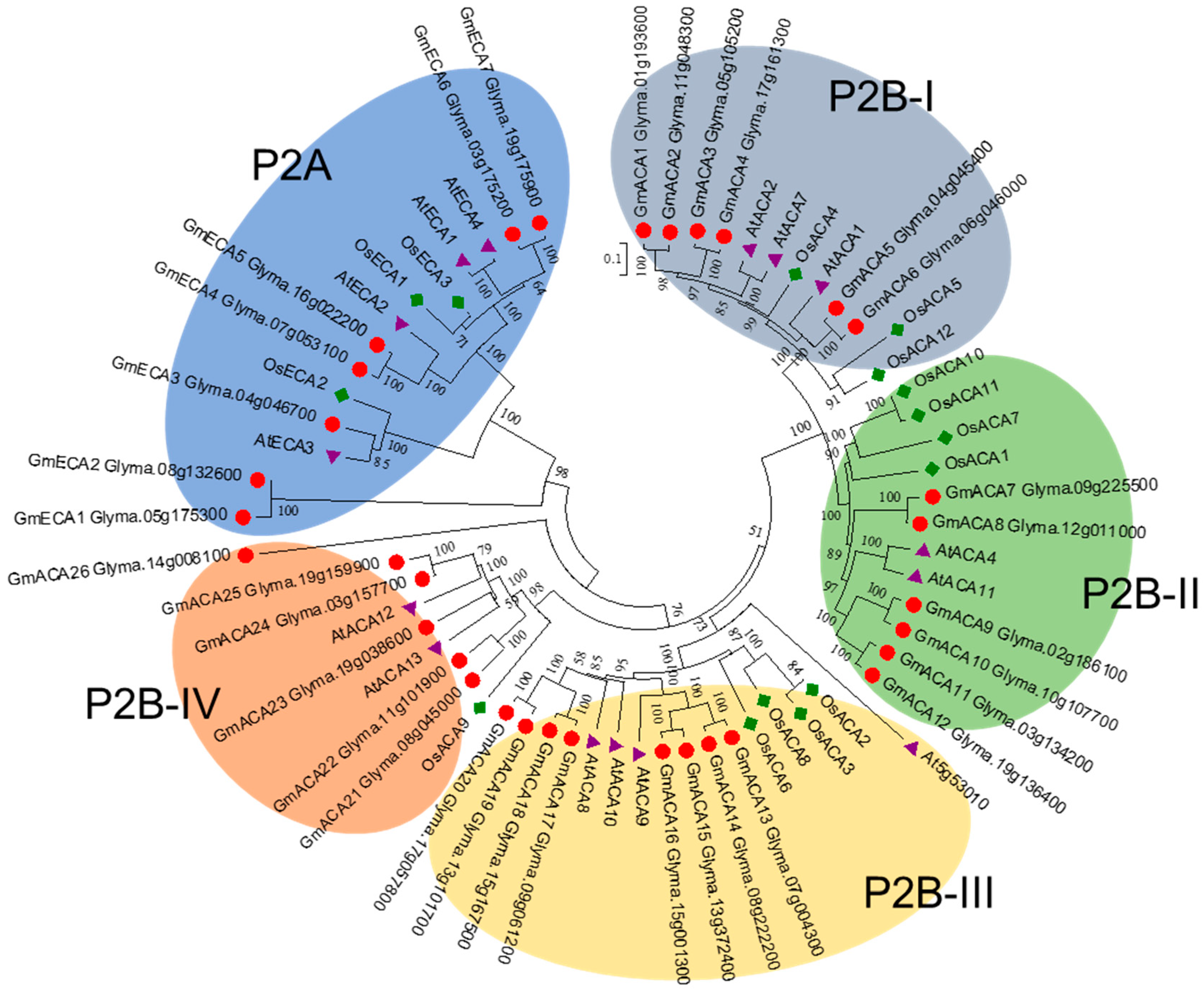 Agronomy 11 00071 g004