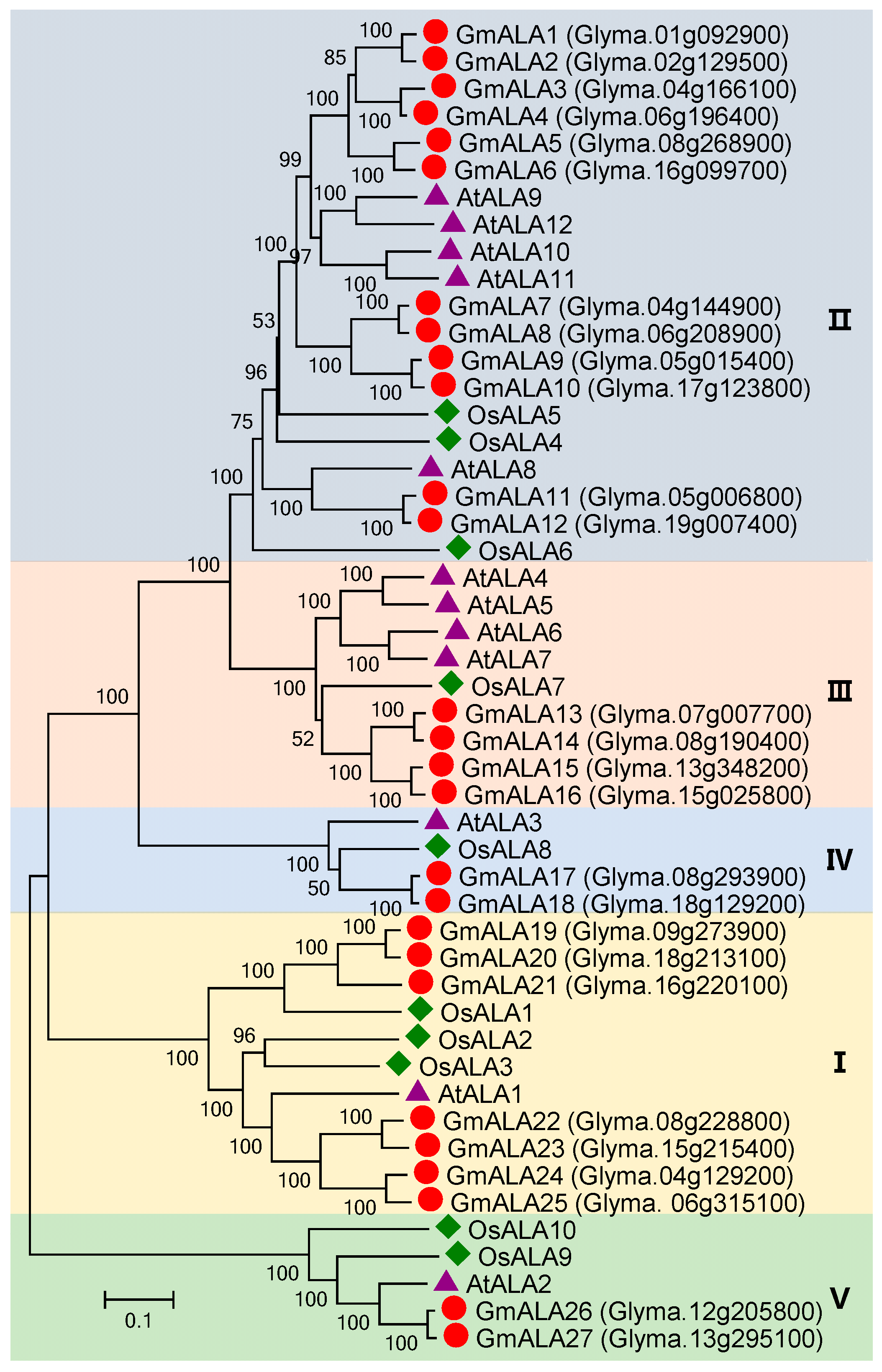 Agronomy 11 00071 g007