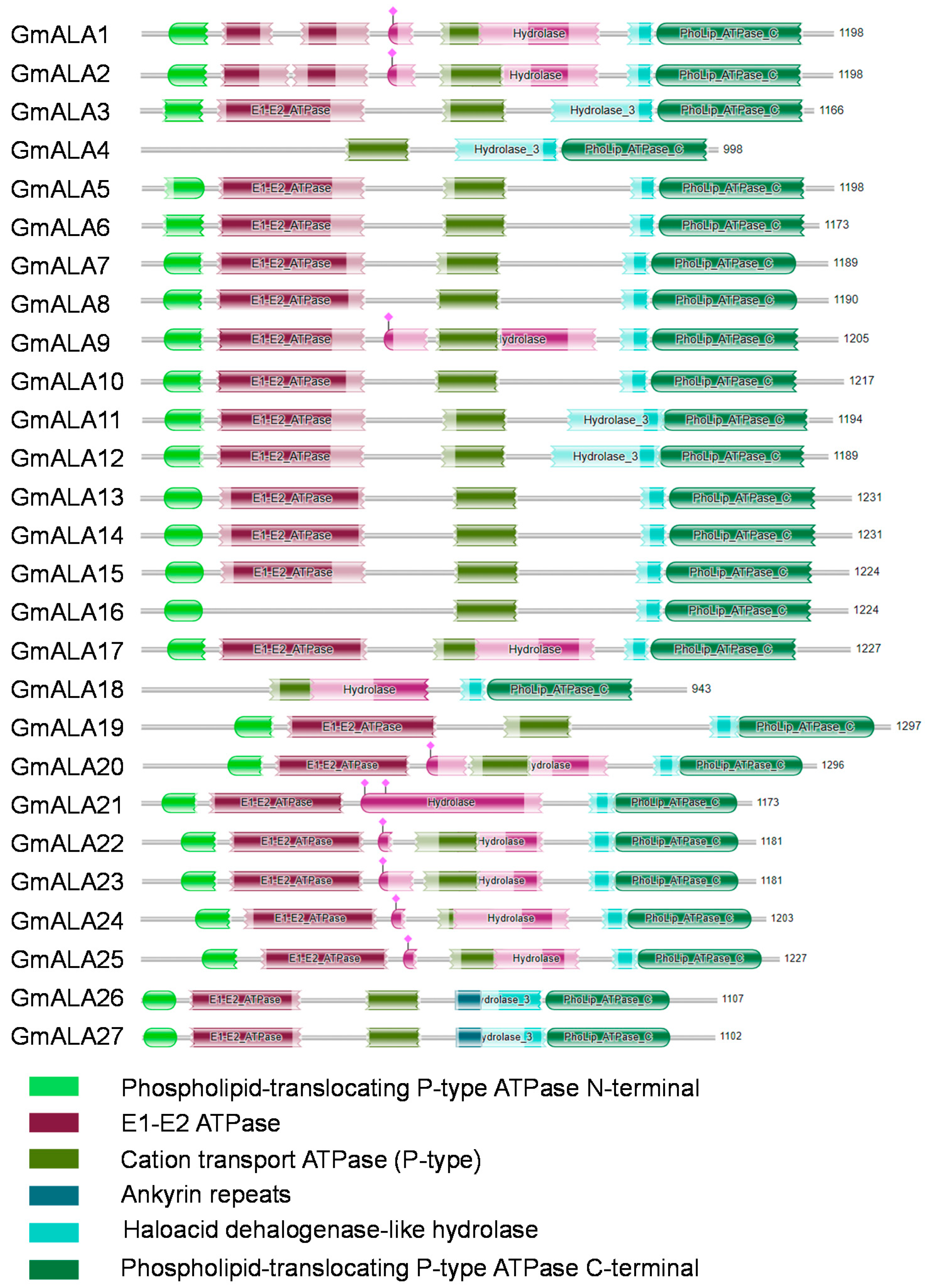 Agronomy 11 00071 g008