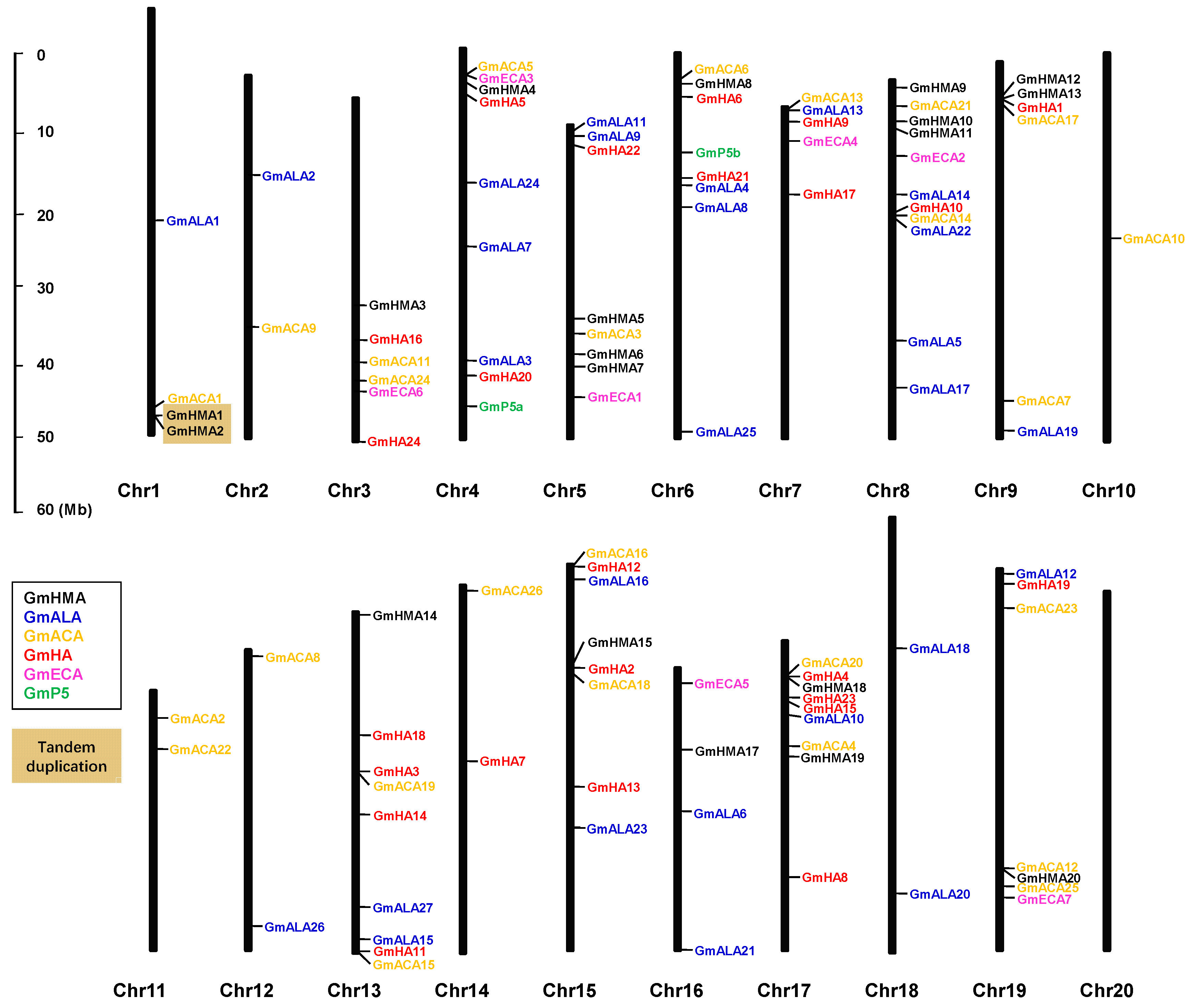 Agronomy 11 00071 g010