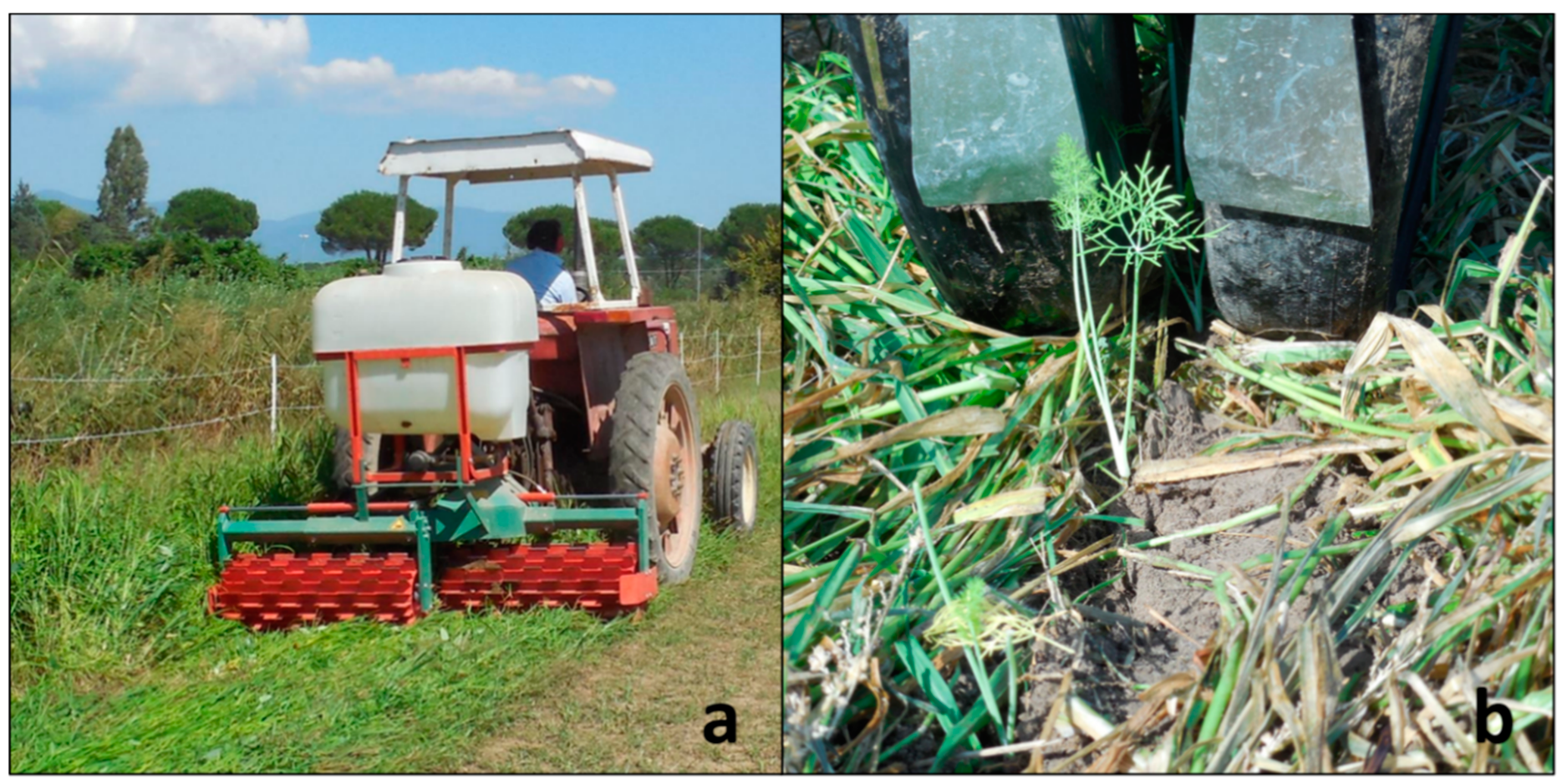 Agronomy 11 00106 g005