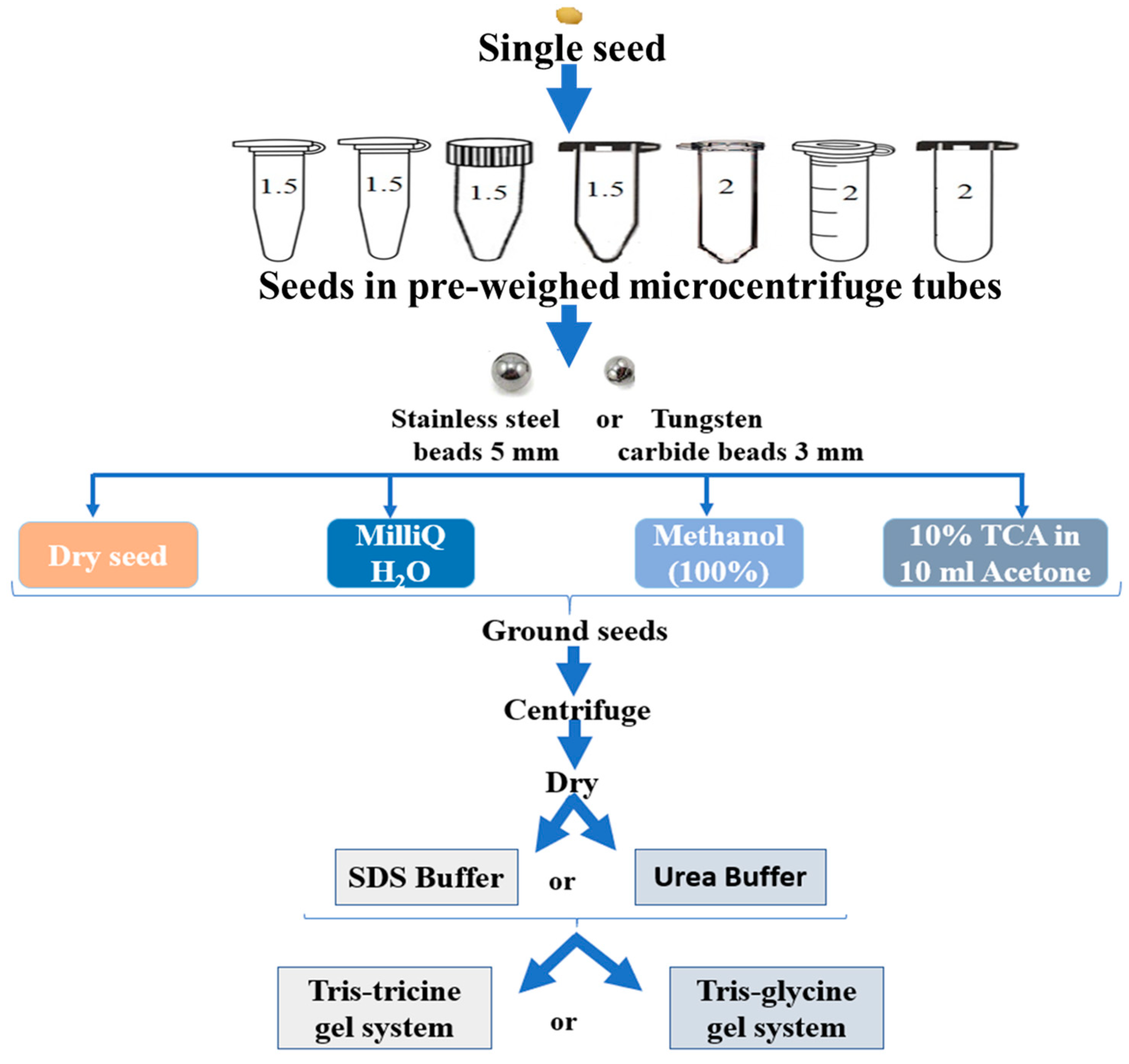 Agronomy 11 00107 g001