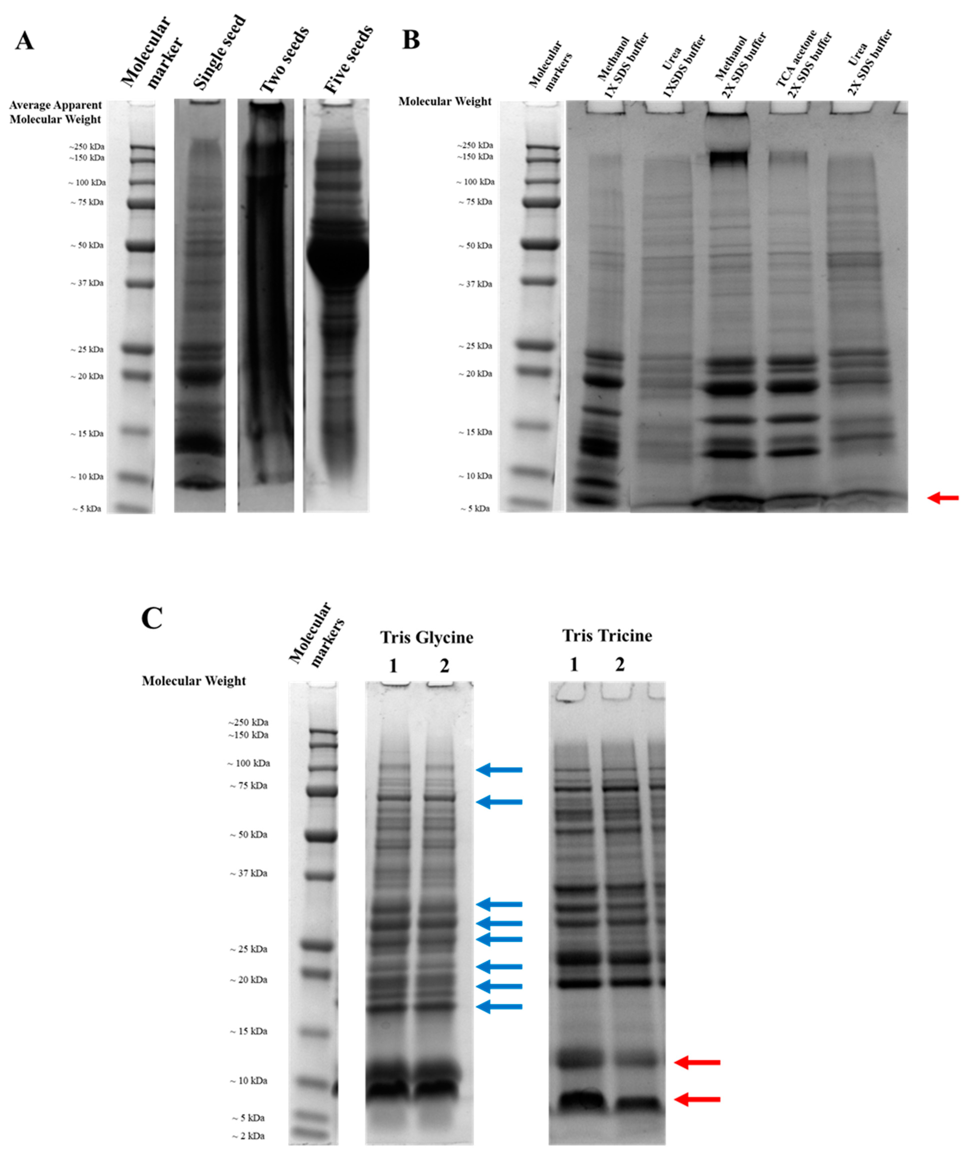 Agronomy 11 00107 g002