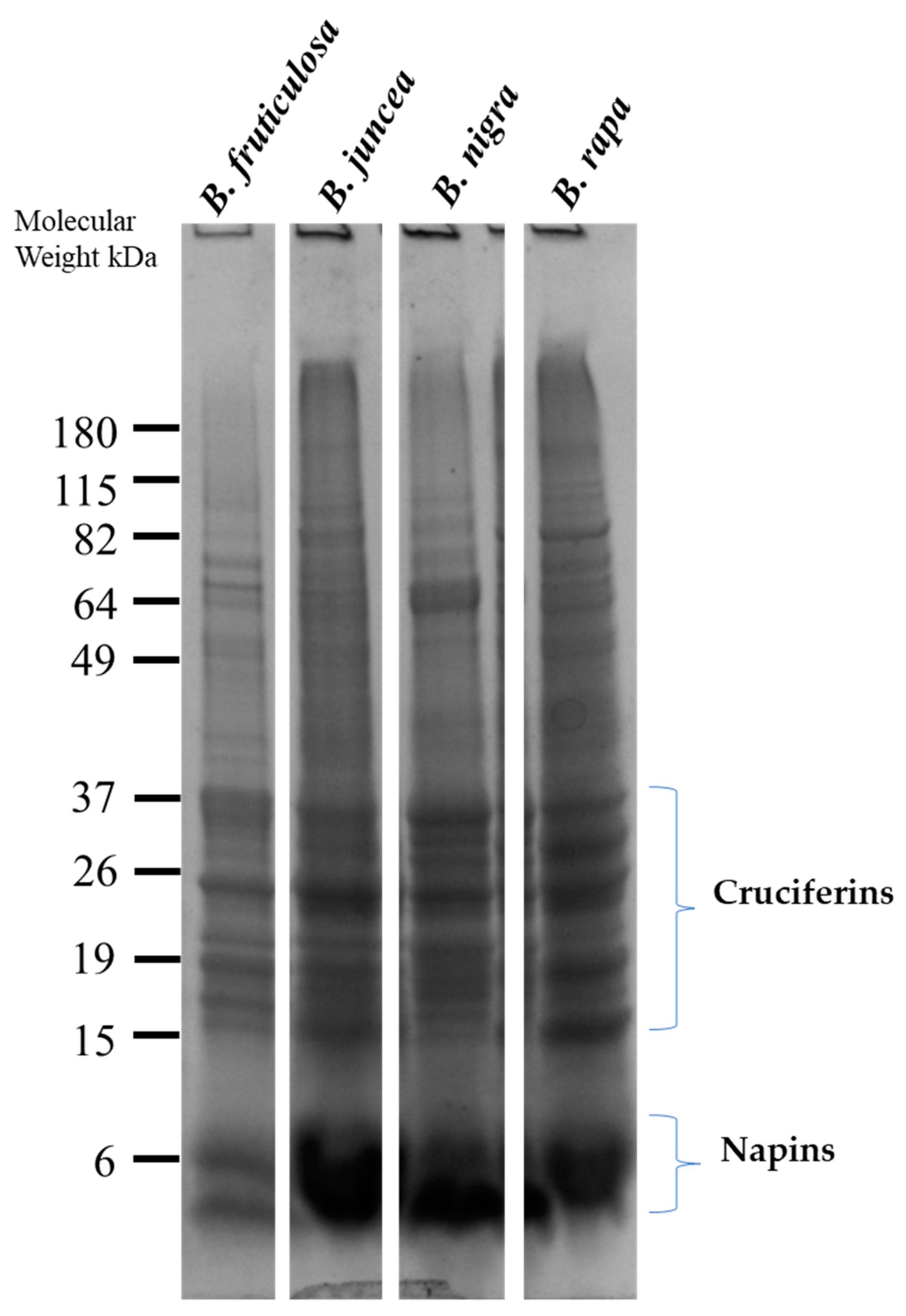 Agronomy 11 00107 g003