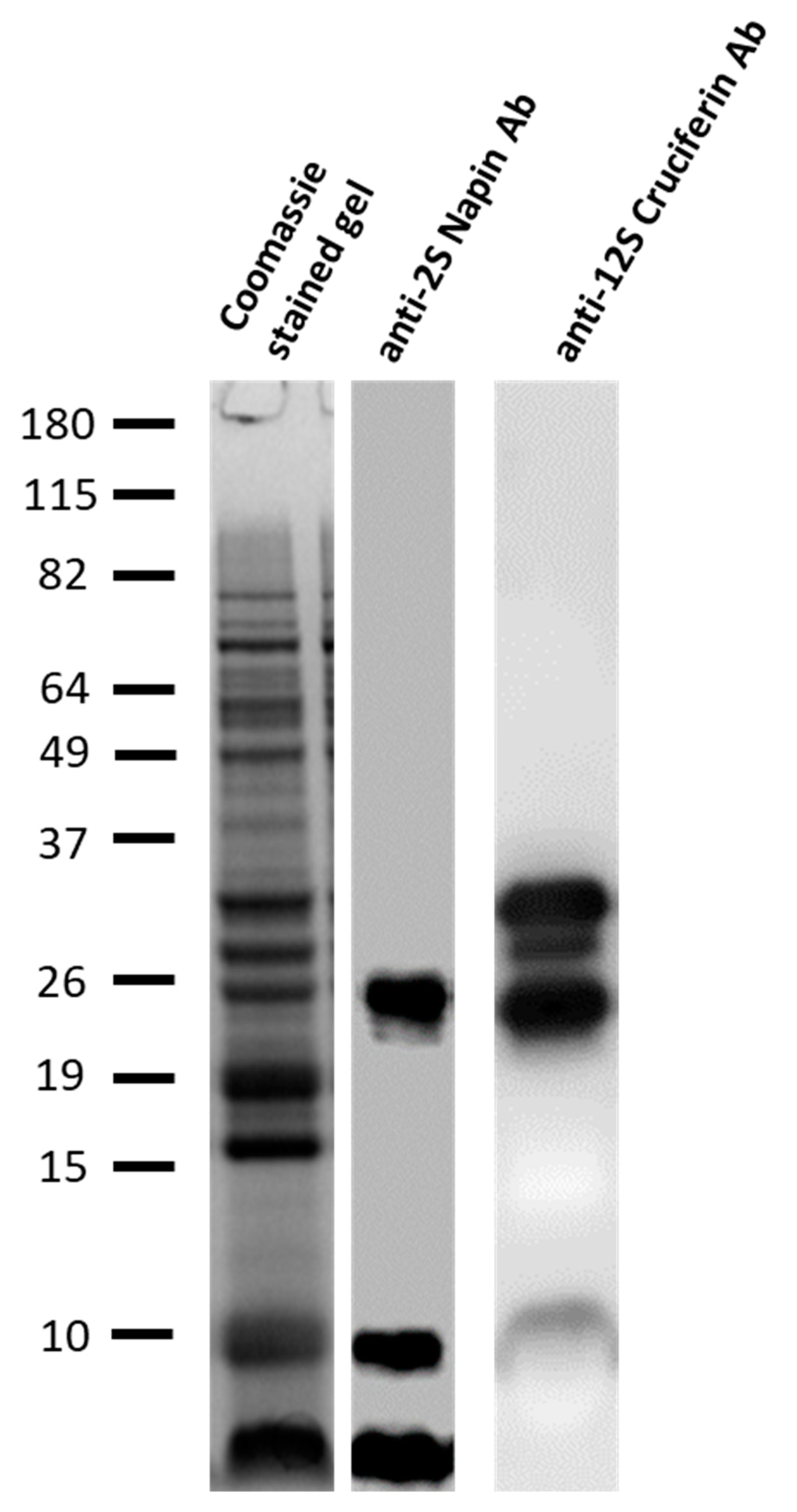 Agronomy 11 00107 g004