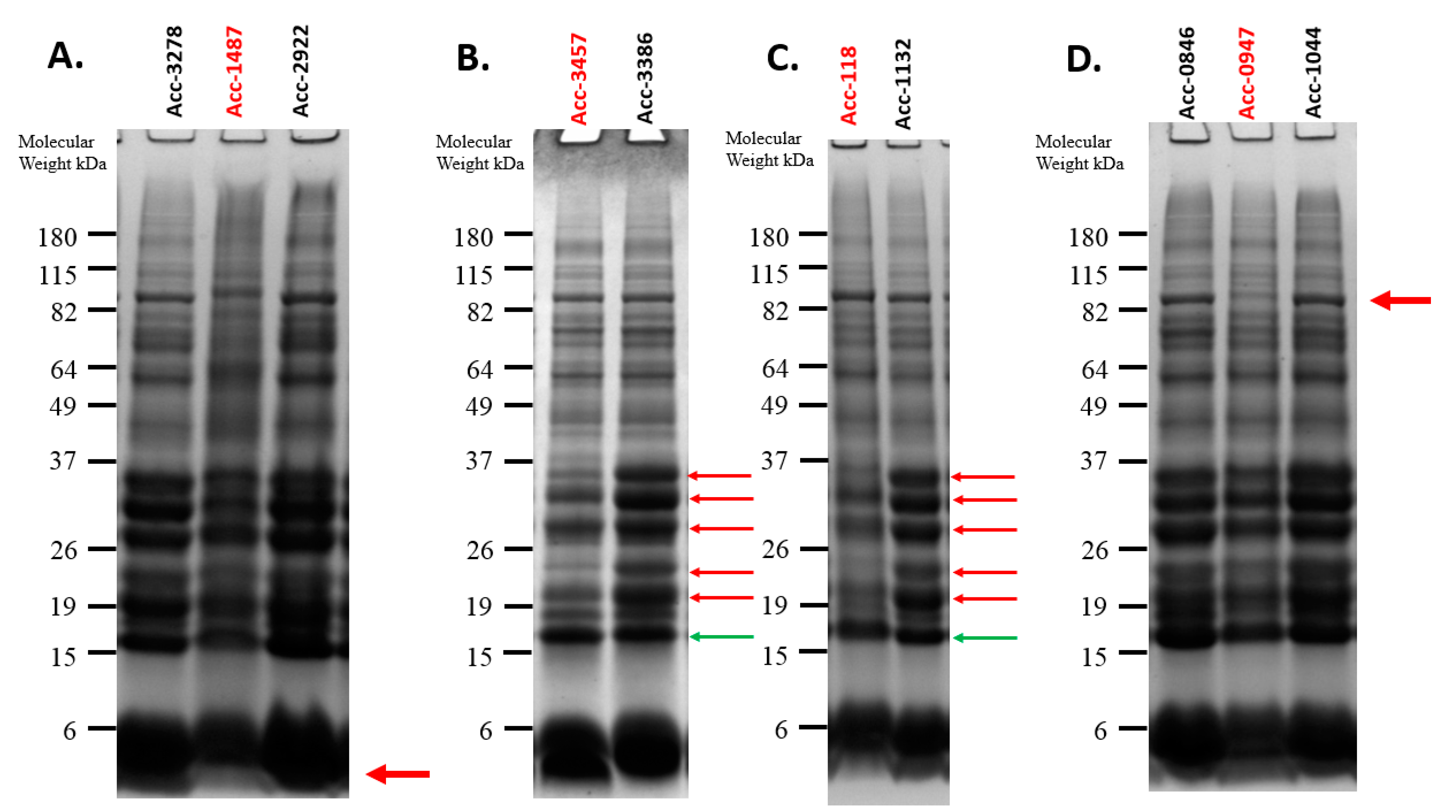 Agronomy 11 00107 g005