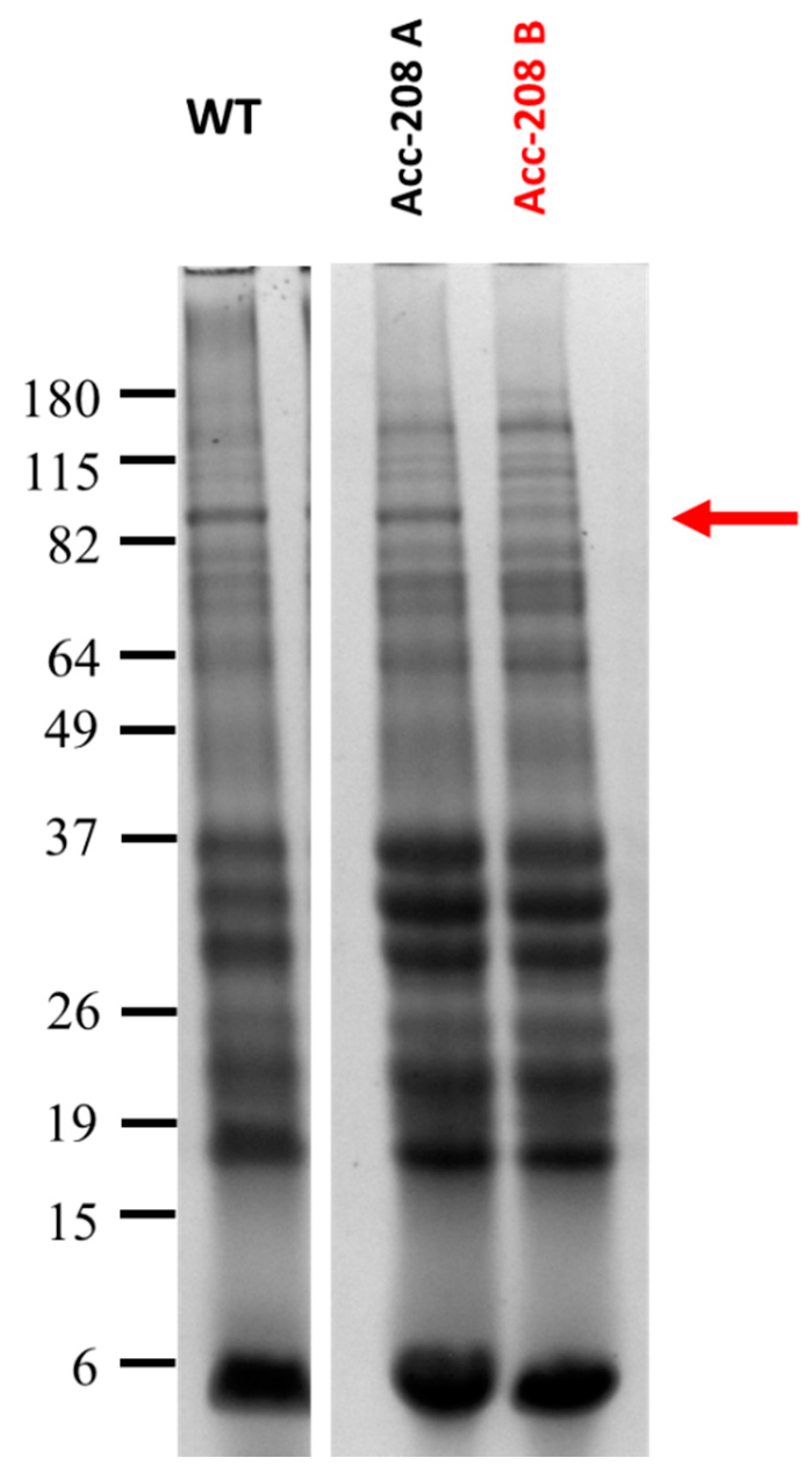 Agronomy 11 00107 g006