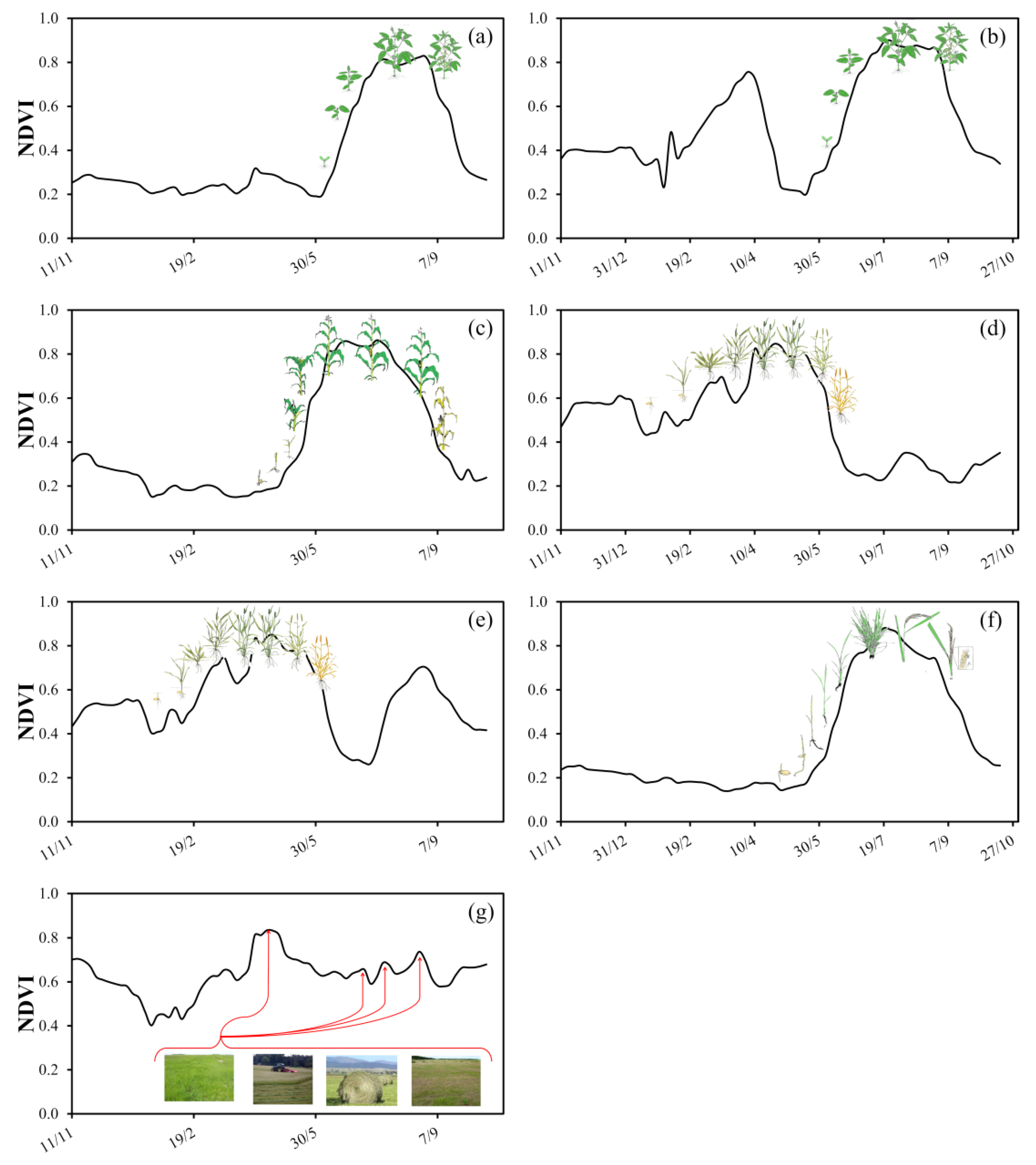 Agronomy 11 00110 g004 Agronomy 11 00110 g004