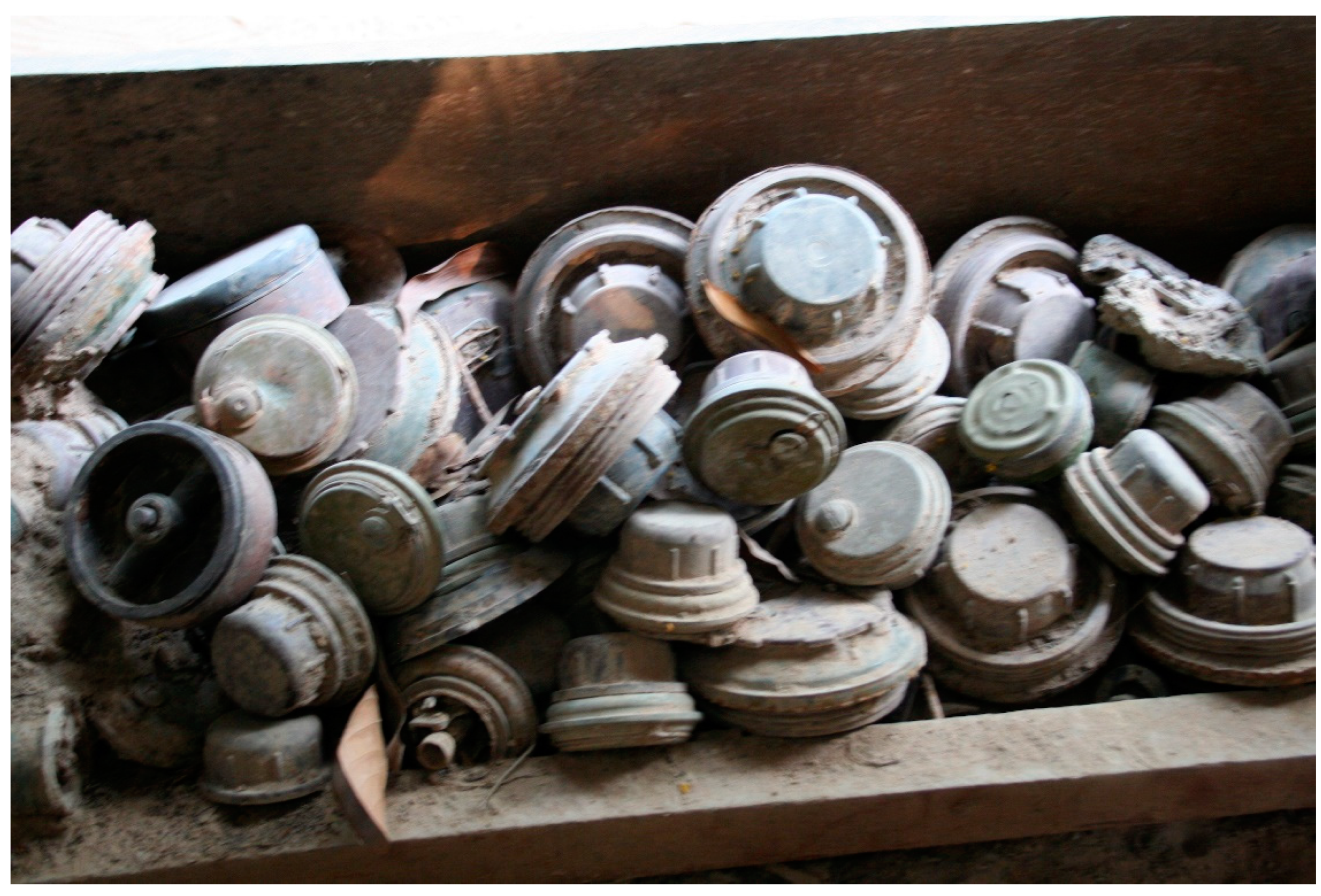 Agronomy 11 00114 g001