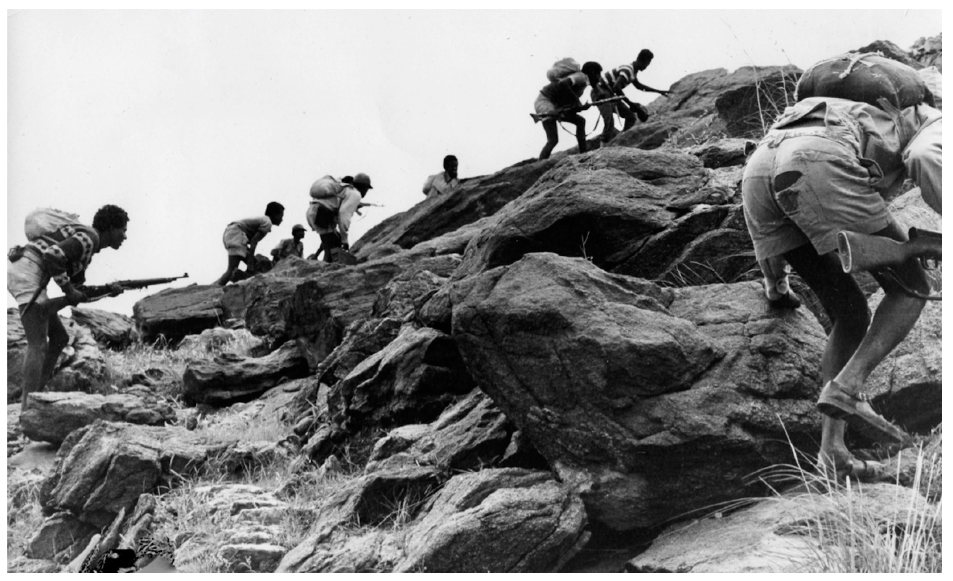 Agronomy 11 00114 g006