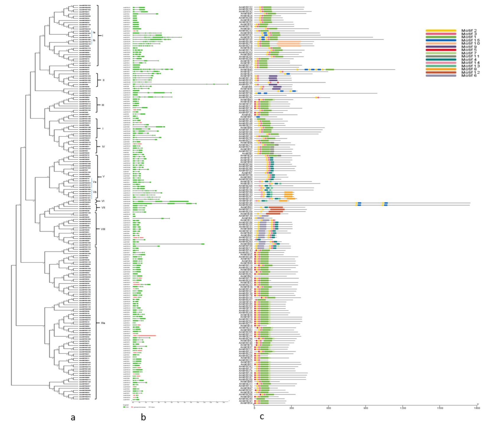 Agronomy 11 00123 g001
