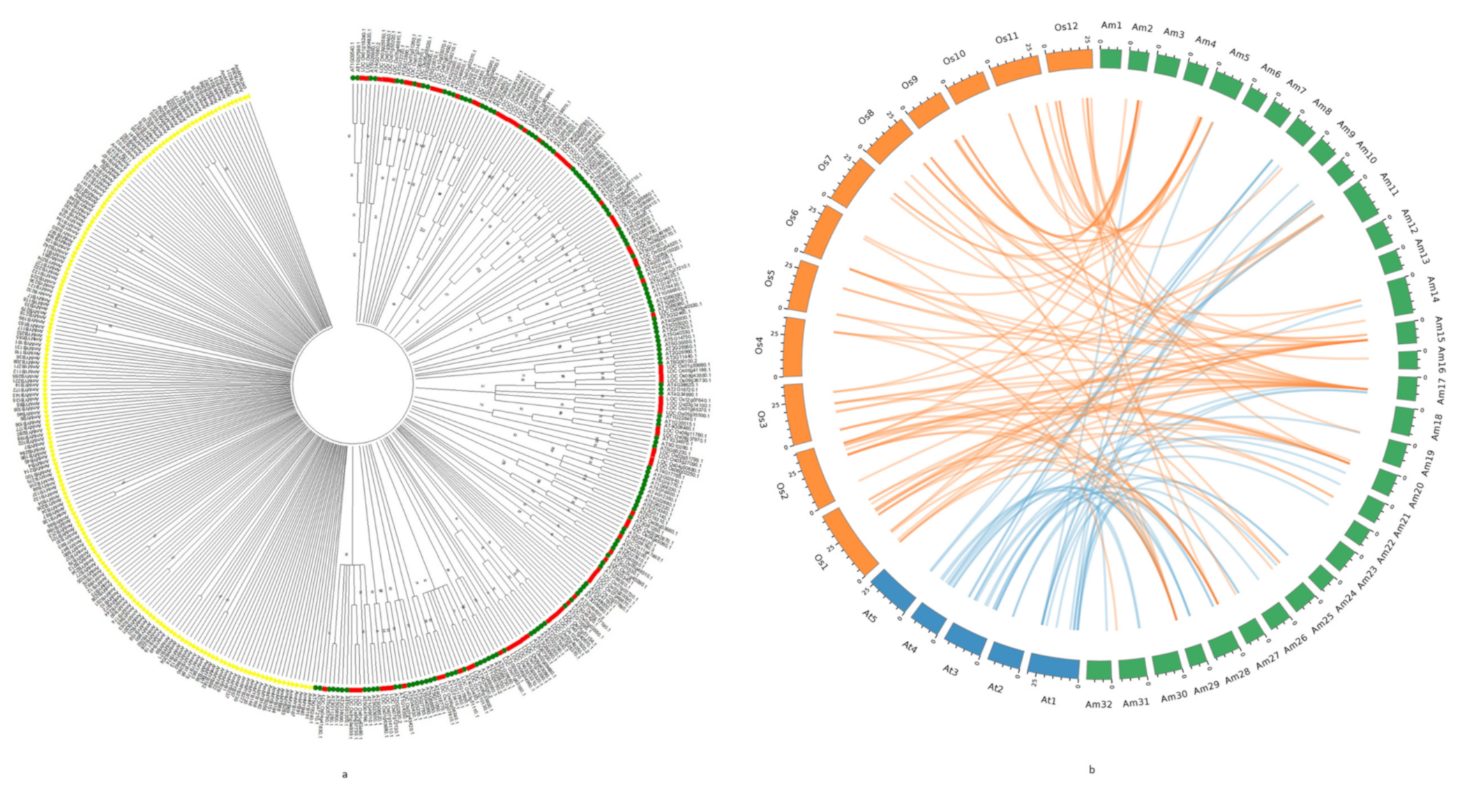 Agronomy 11 00123 g004