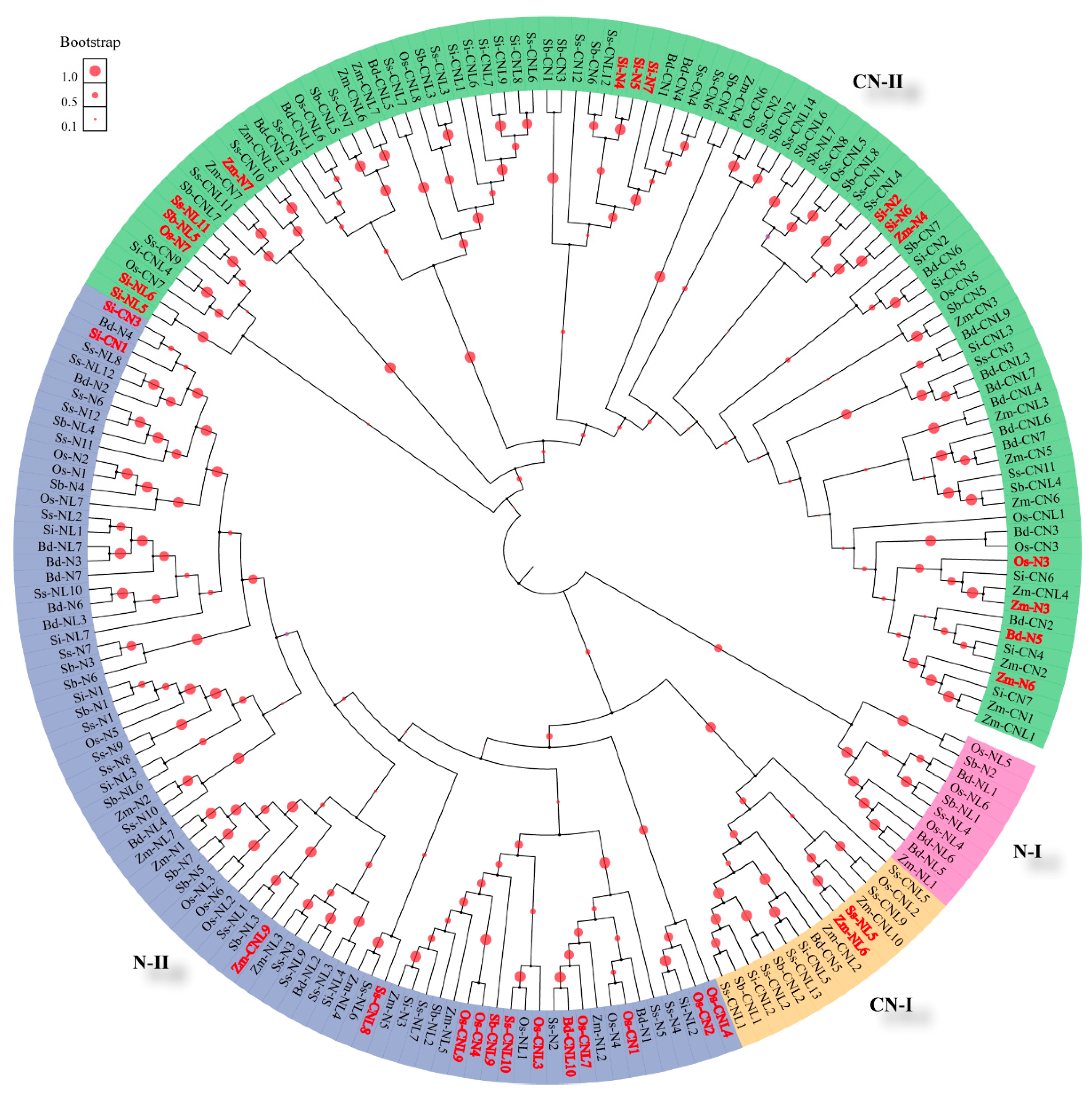 Agronomy 11 00153 g002