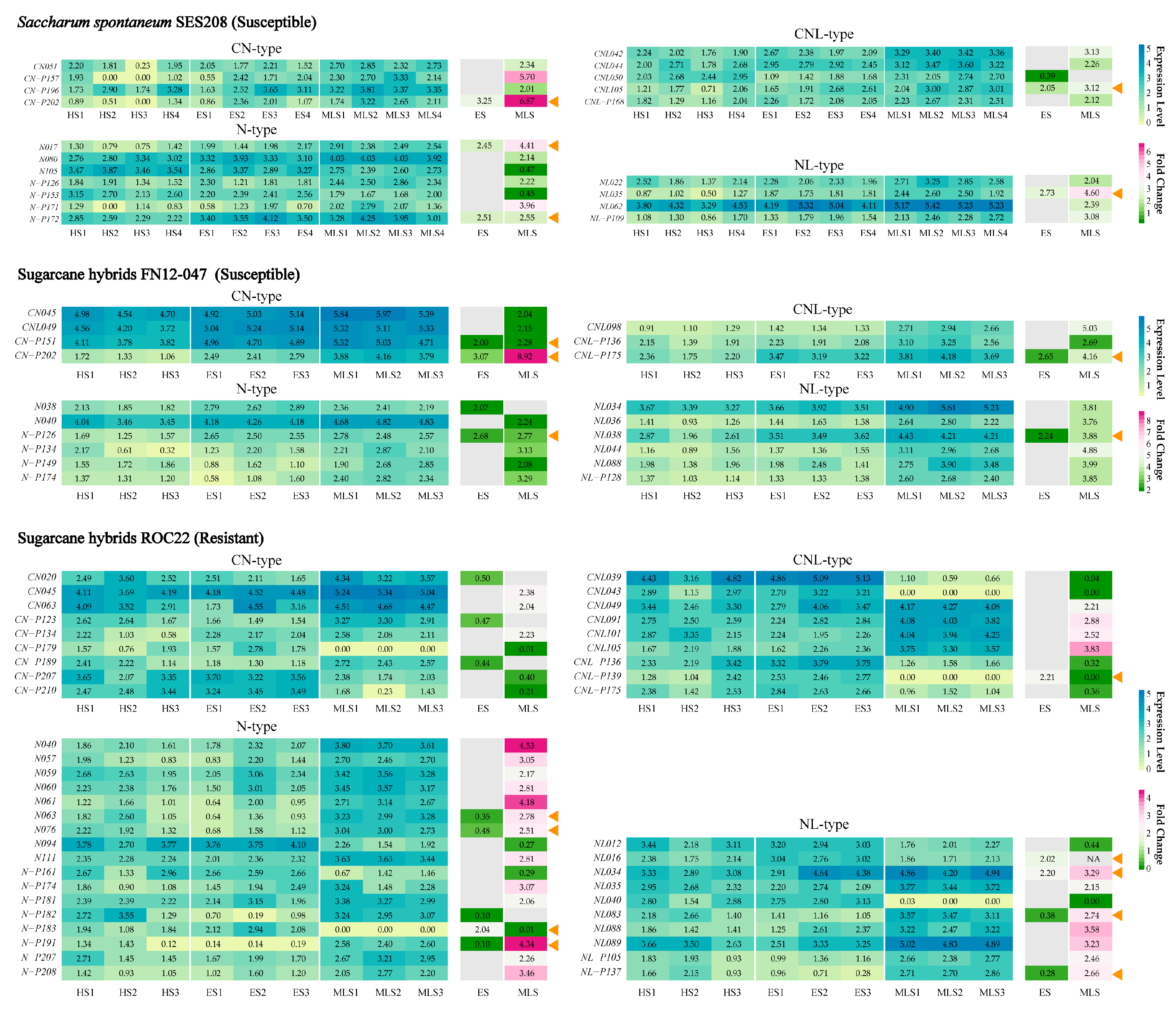 Agronomy 11 00153 g005