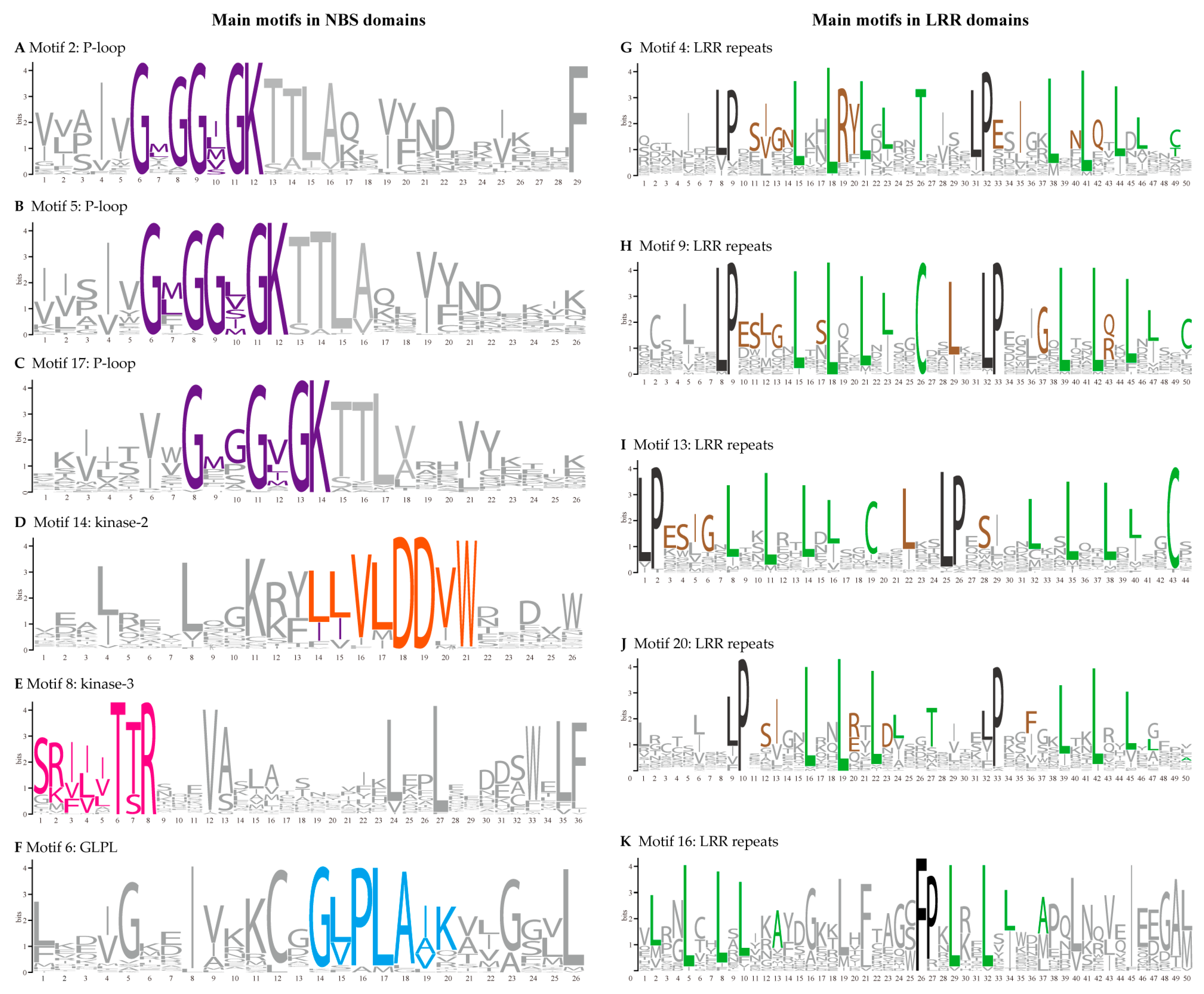 Agronomy 11 00153 g007