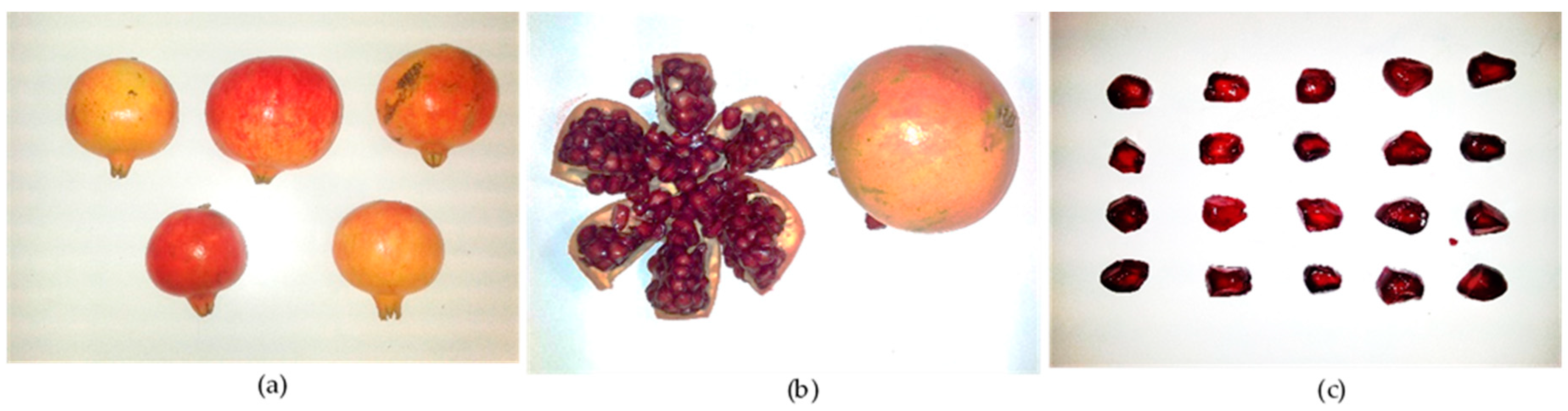 Agronomy 11 00156 g002 Agronomy 11 00156 g002