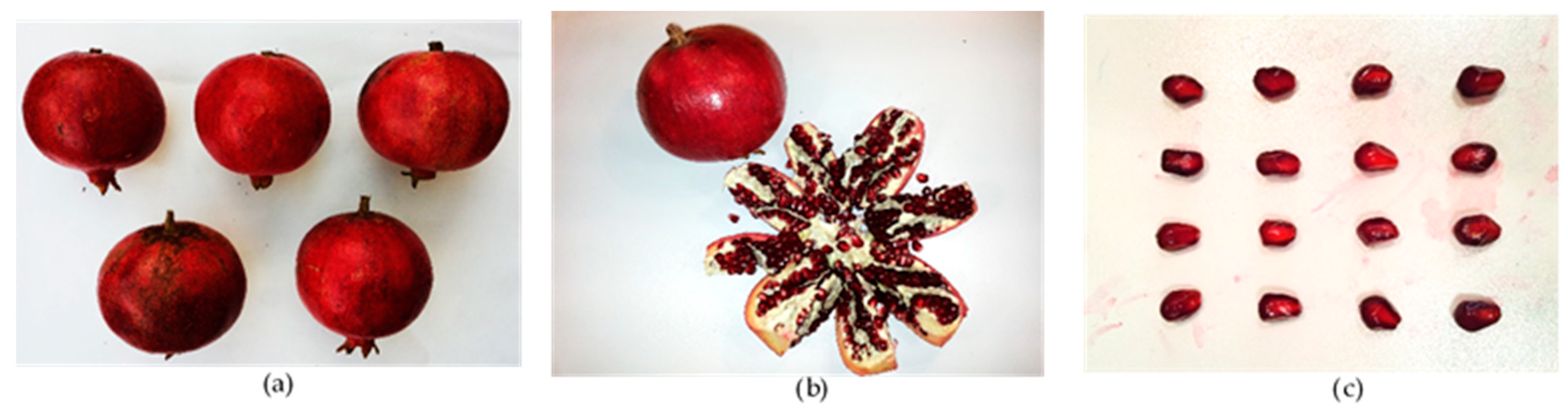 Agronomy 11 00156 g003 Agronomy 11 00156 g003
