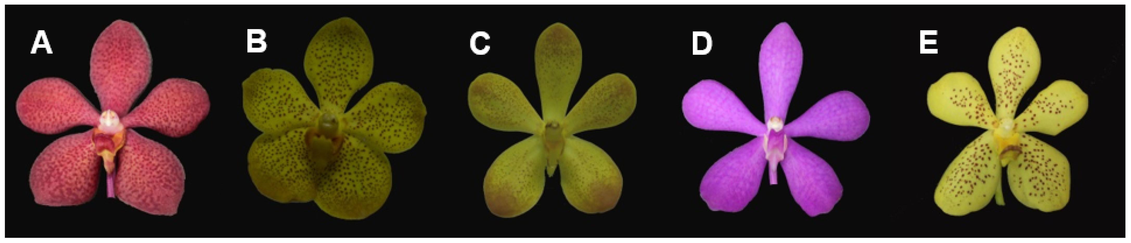 Agronomy 11 00160 g001