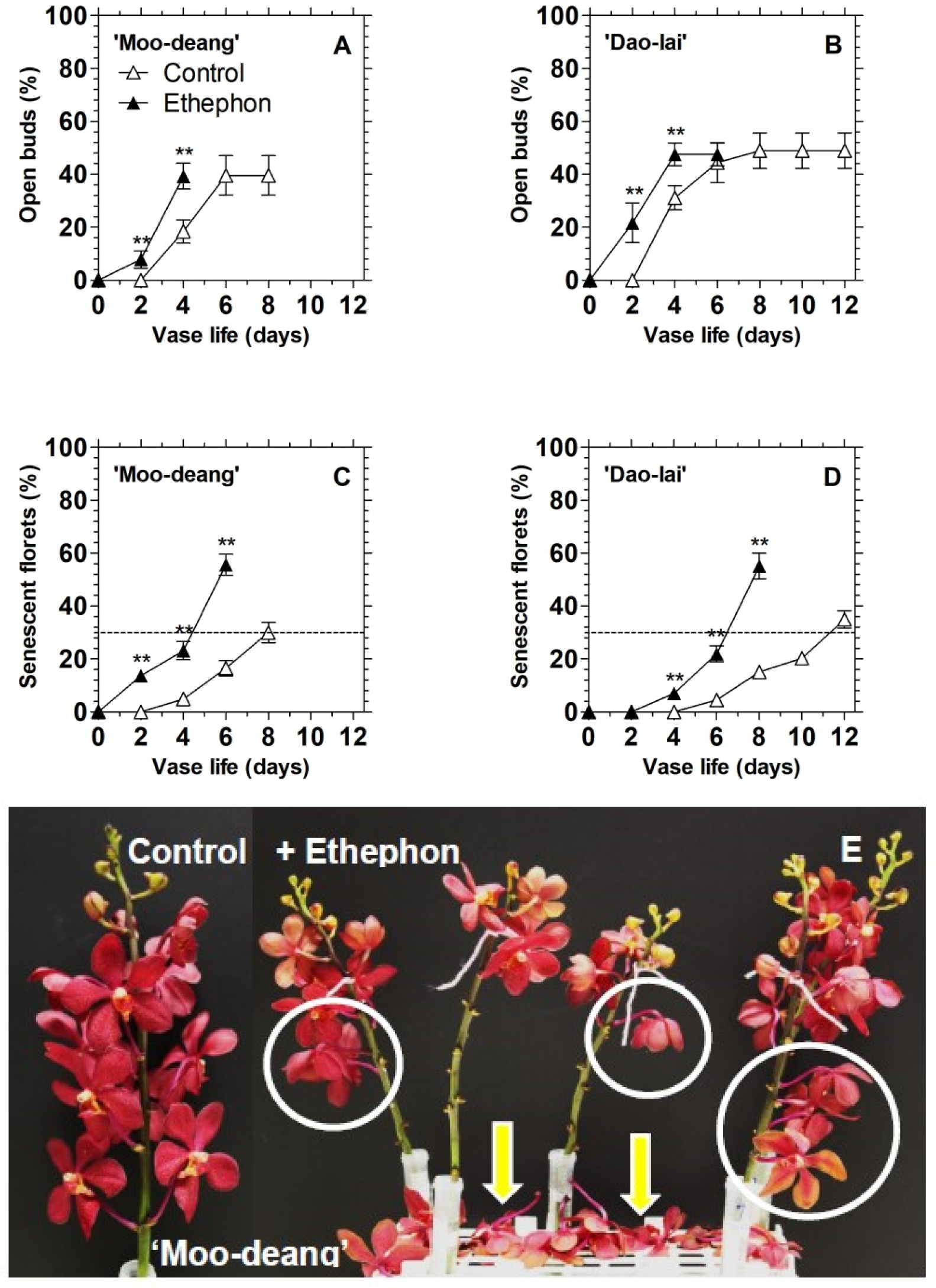 Agronomy 11 00160 g003