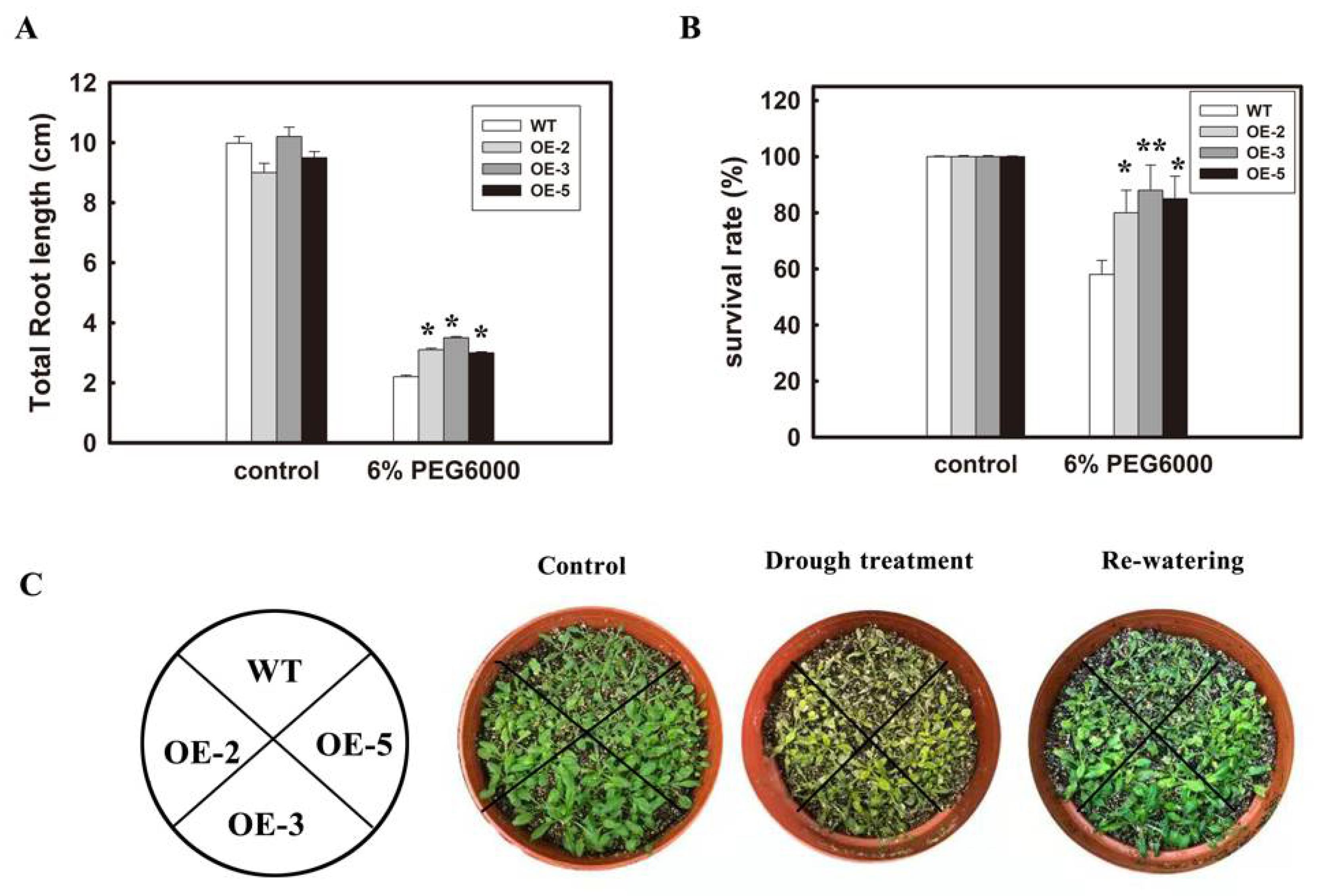 Agronomy 11 00170 g006