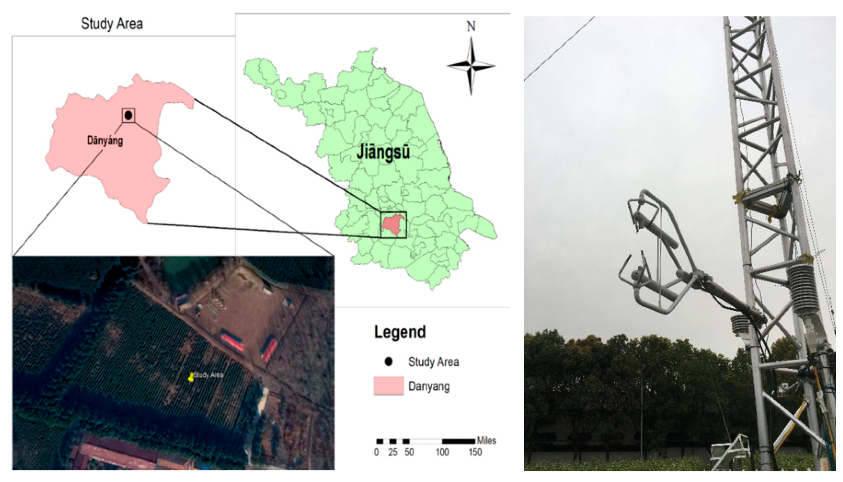 Agronomy 11 00179 g001