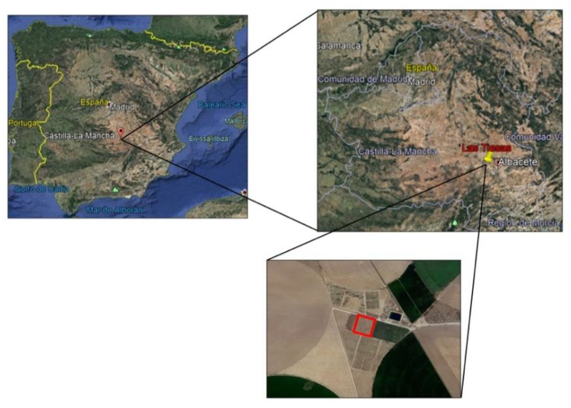 Agronomy 11 00180 g001