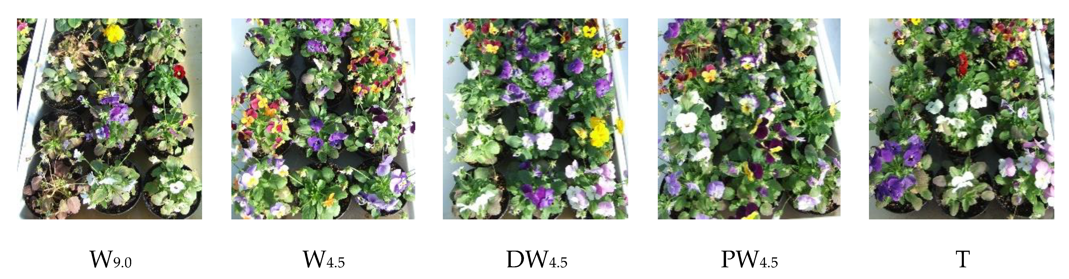 Agronomy 11 00186 g001 Agronomy 11 00186 g001