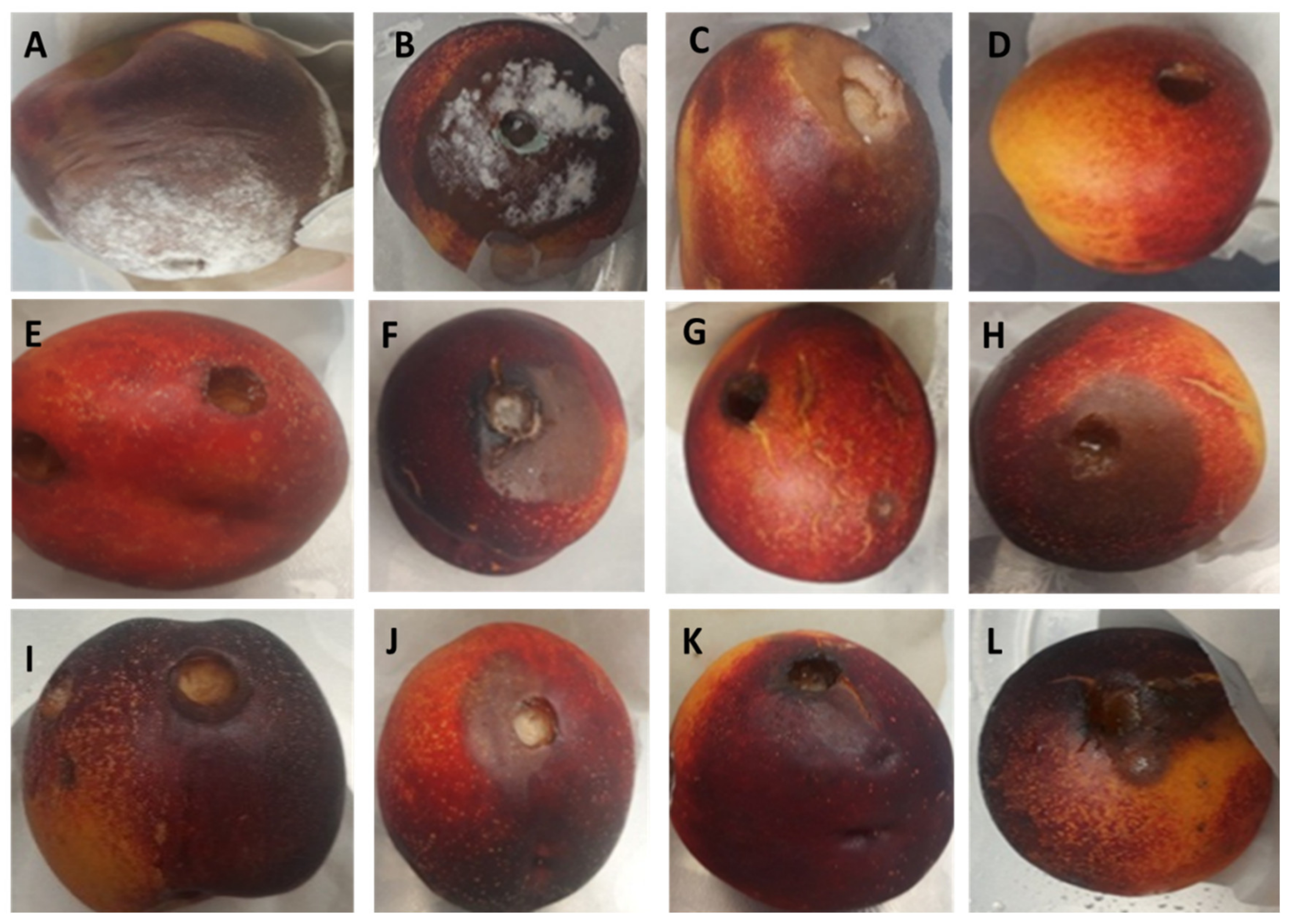 Agronomy 11 00209 g002 Agronomy 11 00209 g002