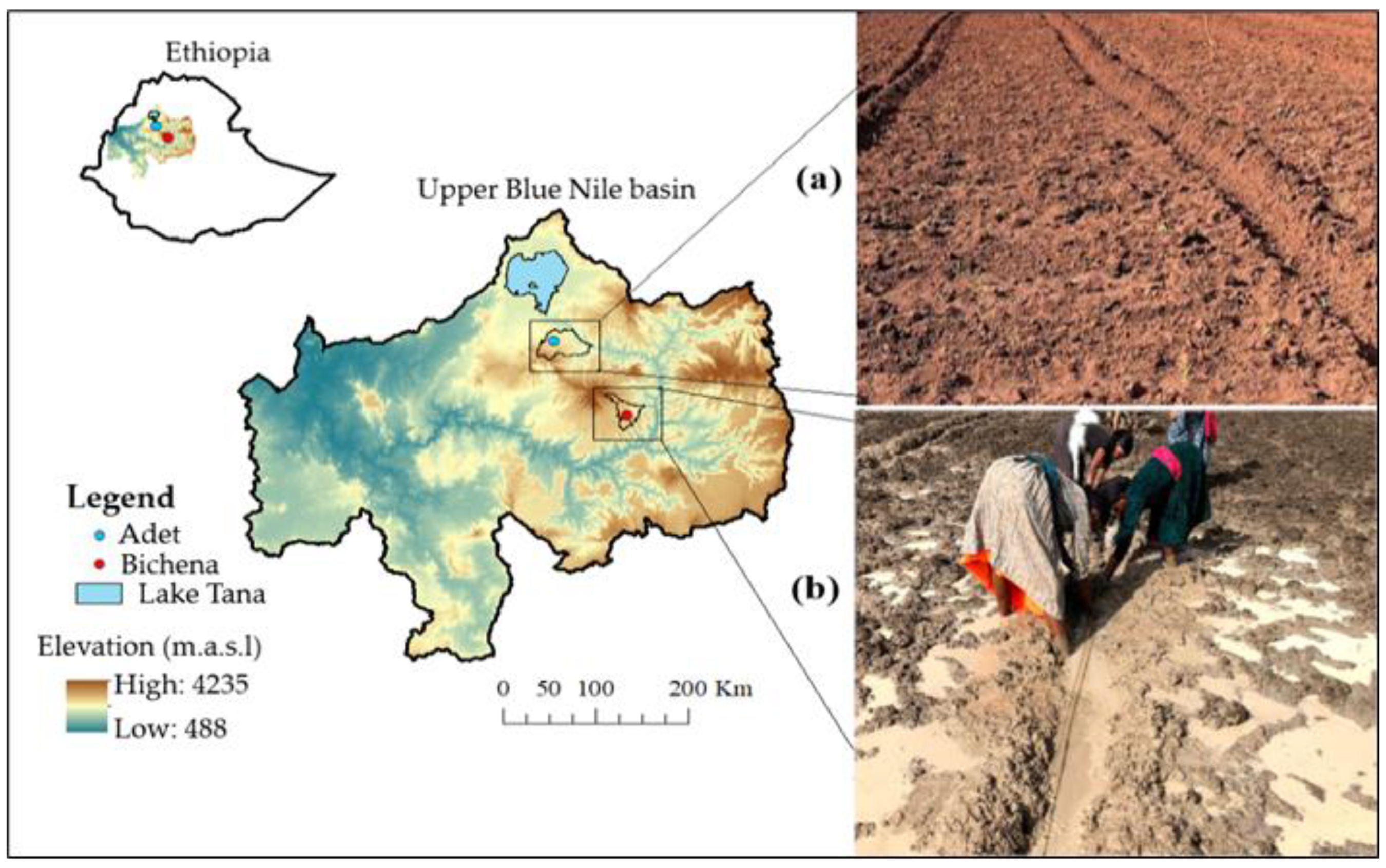 Agronomy 11 00220 g001 Agronomy 11 00220 g001