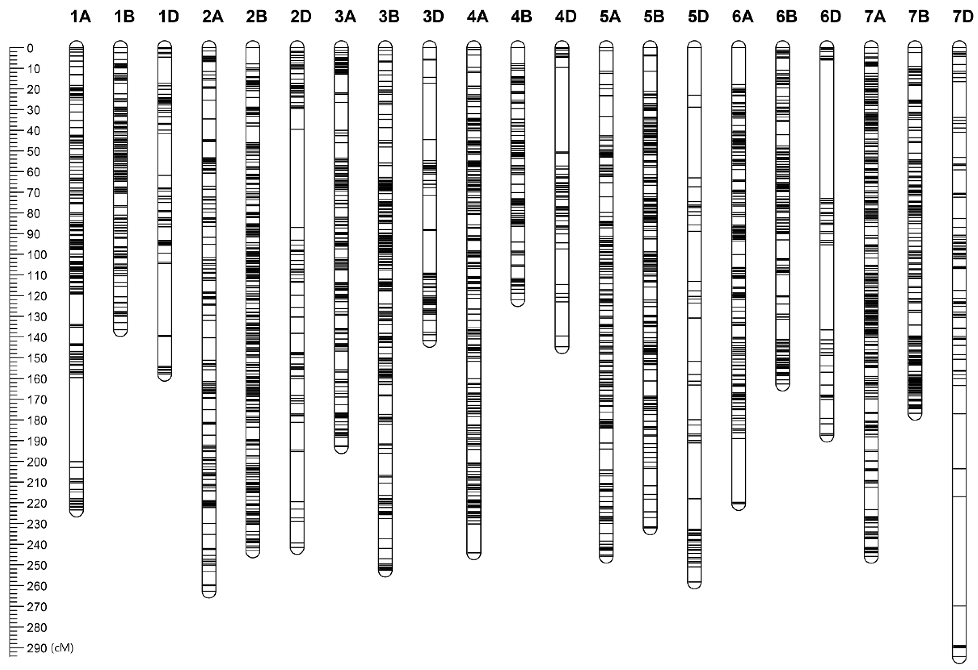 Agronomy 11 00227 g001