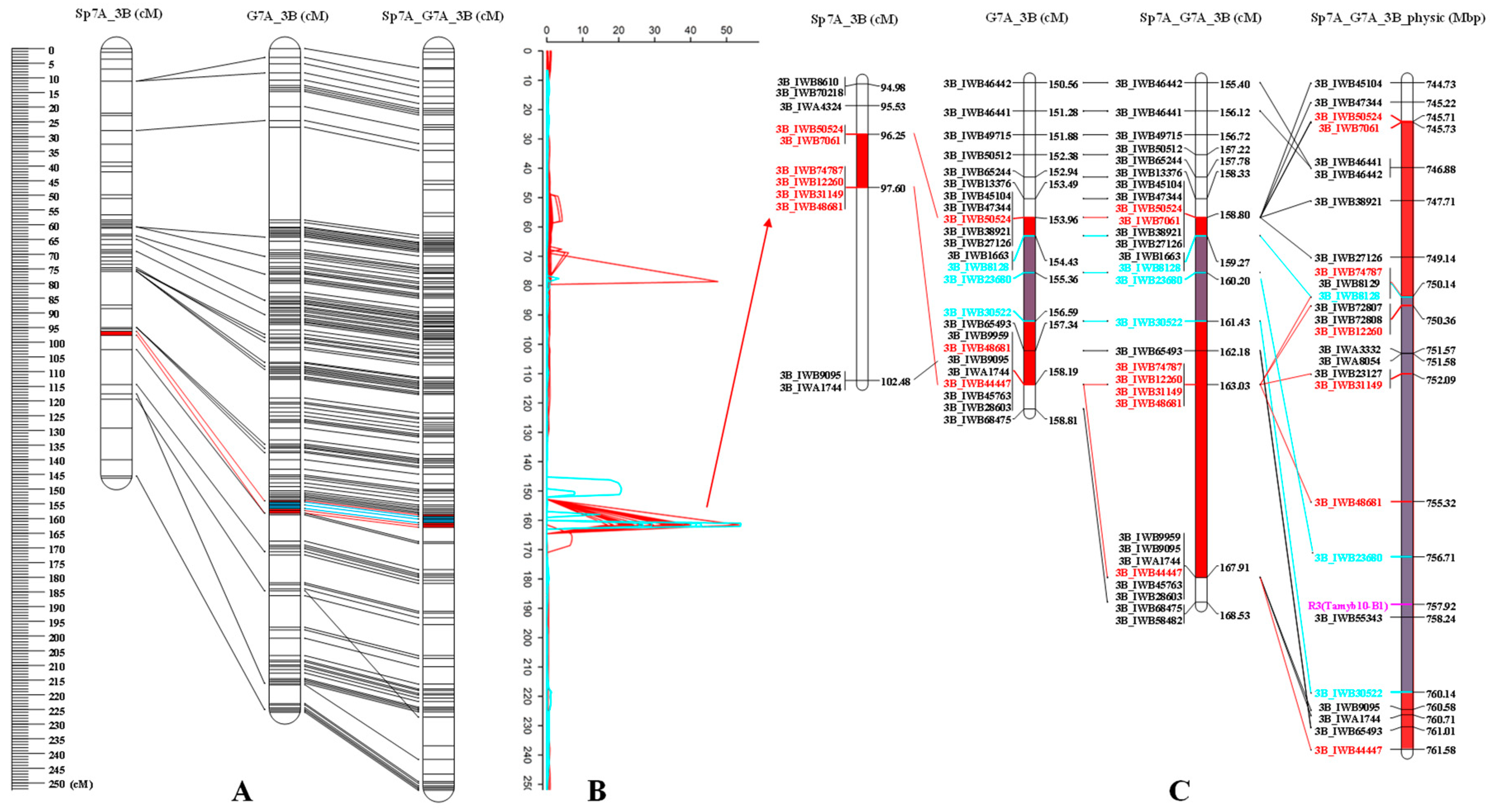 Agronomy 11 00227 g005