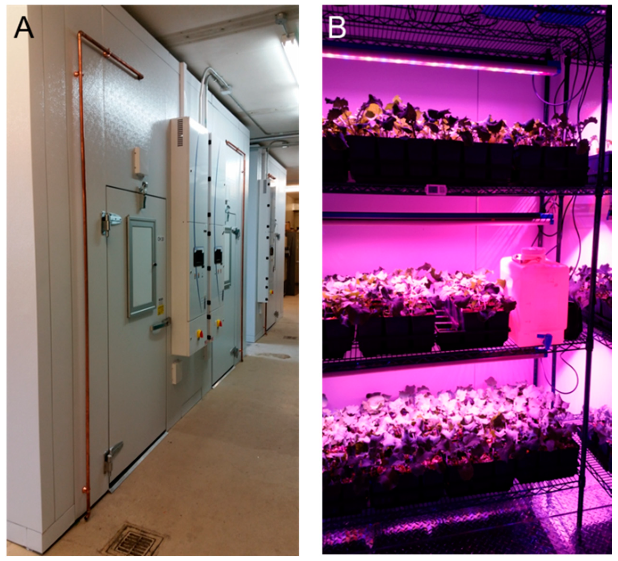 Agronomy 11 00233 g001