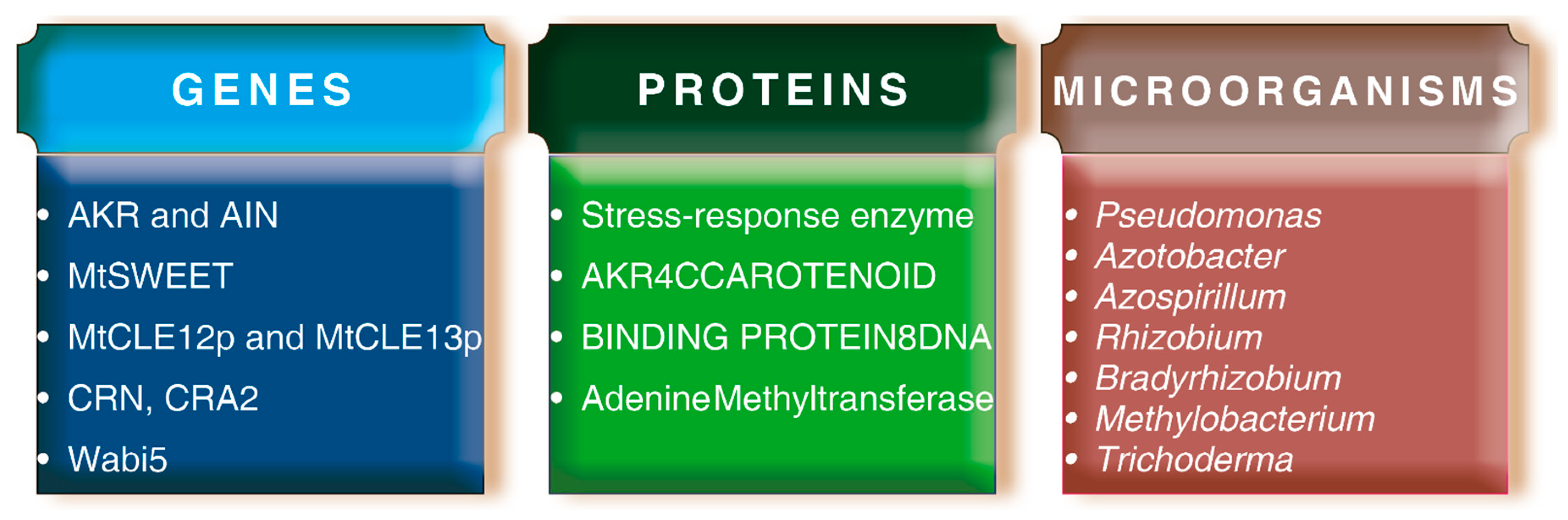 Agronomy 11 00241 g001