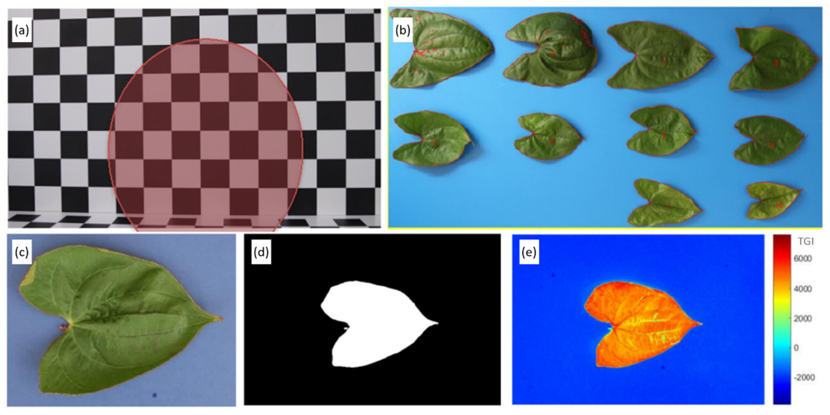 Agronomy 11 00249 g002