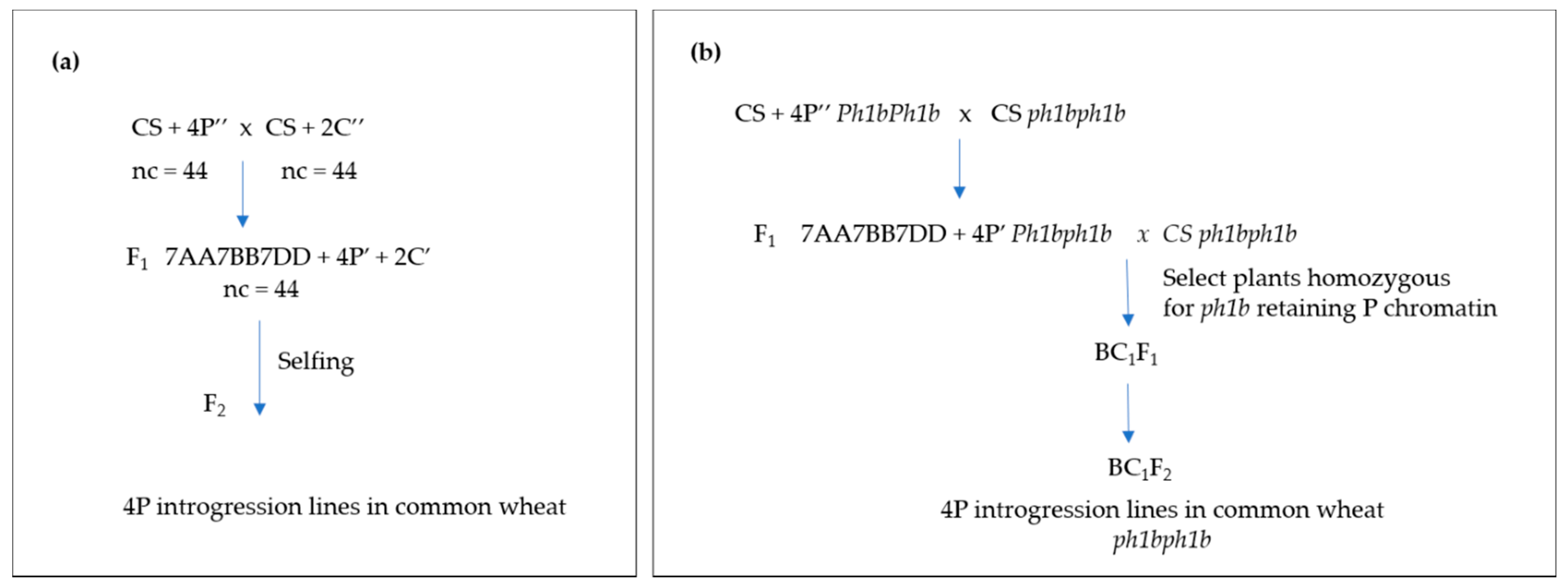 Agronomy 11 00277 g001 Agronomy 11 00277 g001