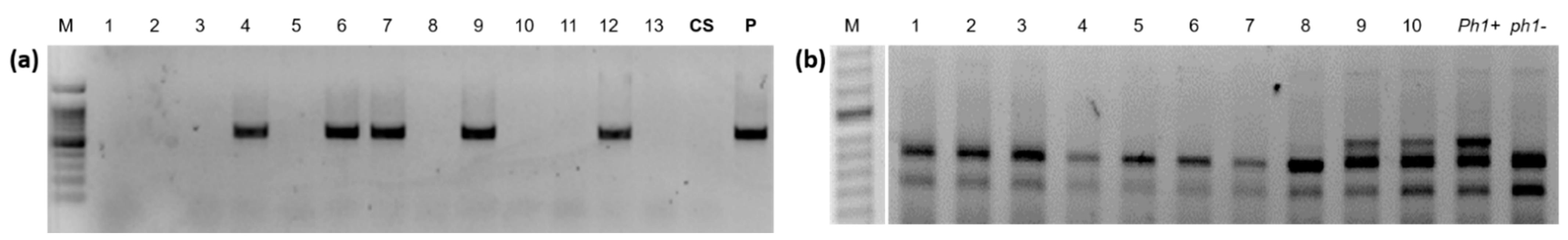 Agronomy 11 00277 g002 Agronomy 11 00277 g002