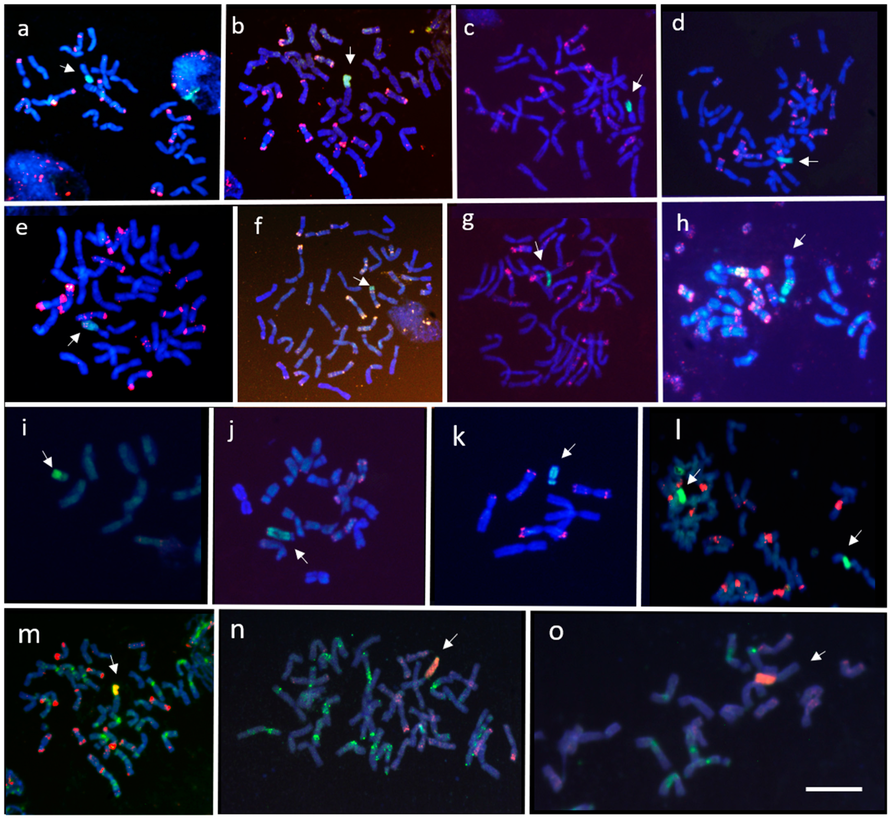 Agronomy 11 00277 g003 Agronomy 11 00277 g003