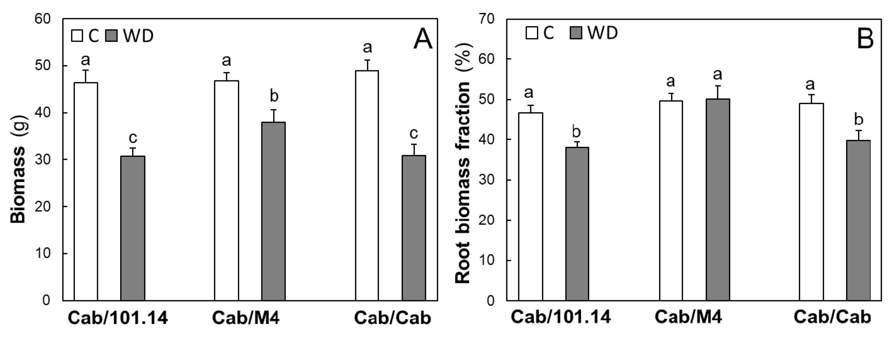 Agronomy 11 00289 g001 Agronomy 11 00289 g001