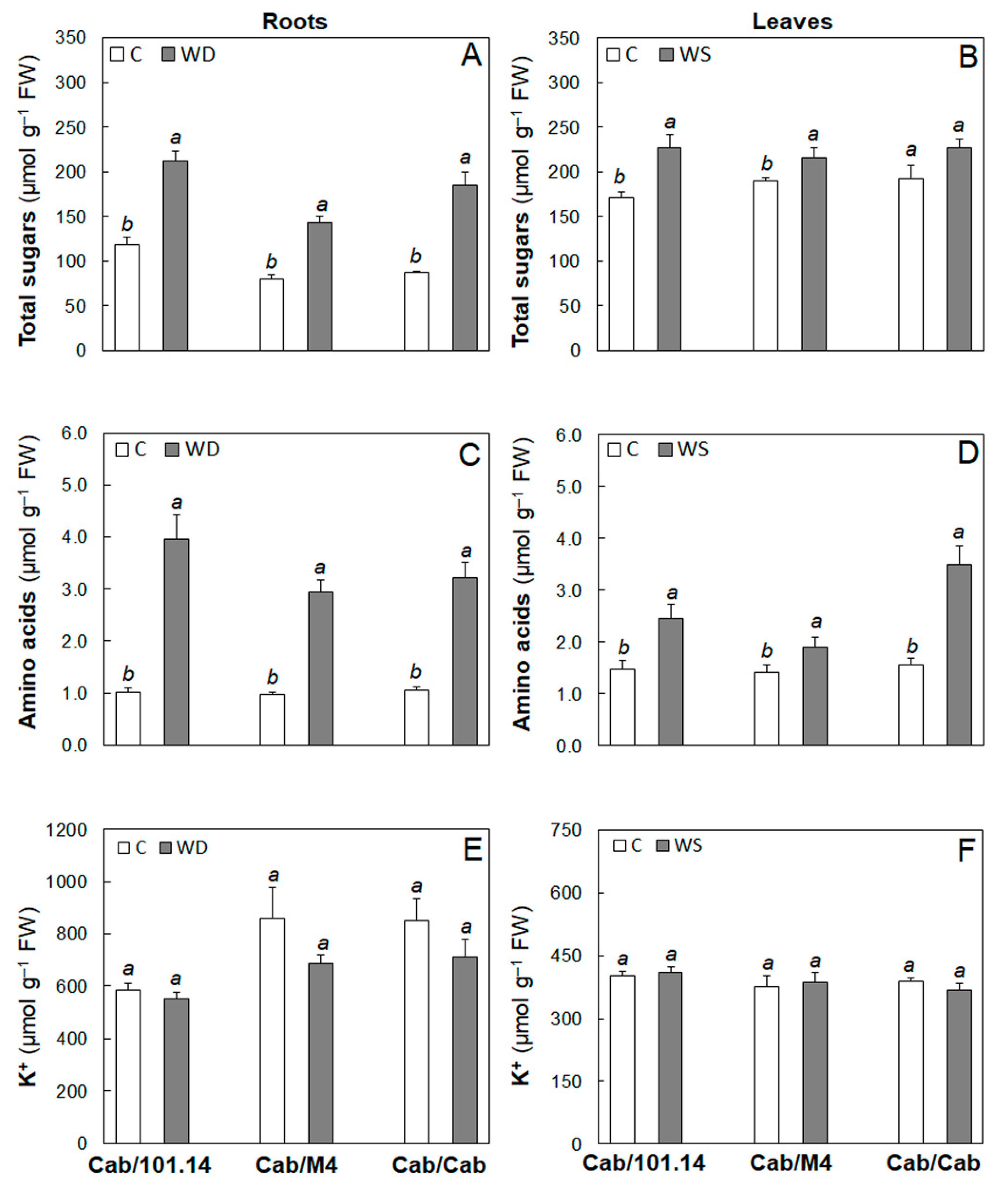 Agronomy 11 00289 g004 Agronomy 11 00289 g004