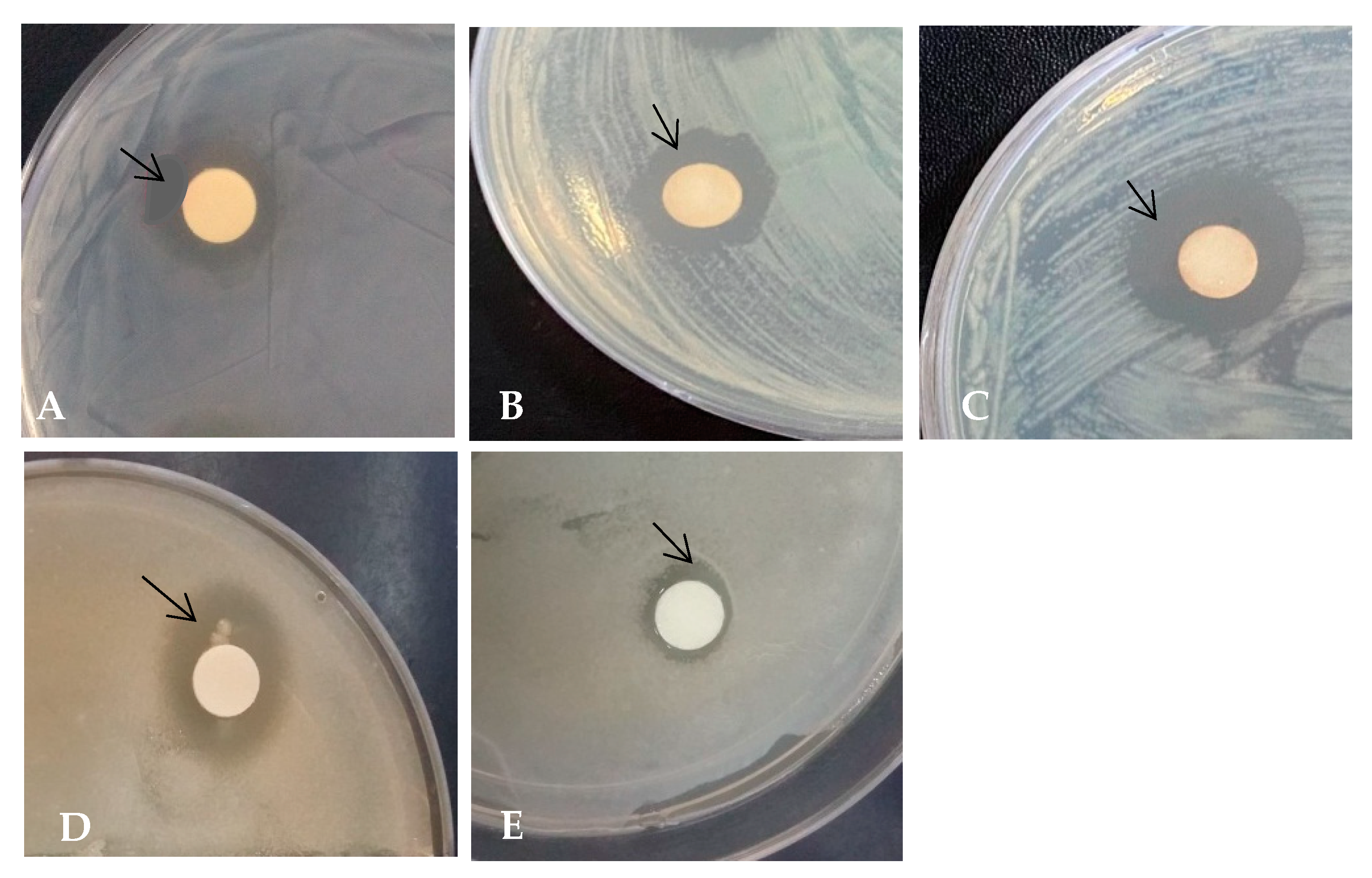 Agronomy 11 00305 g007