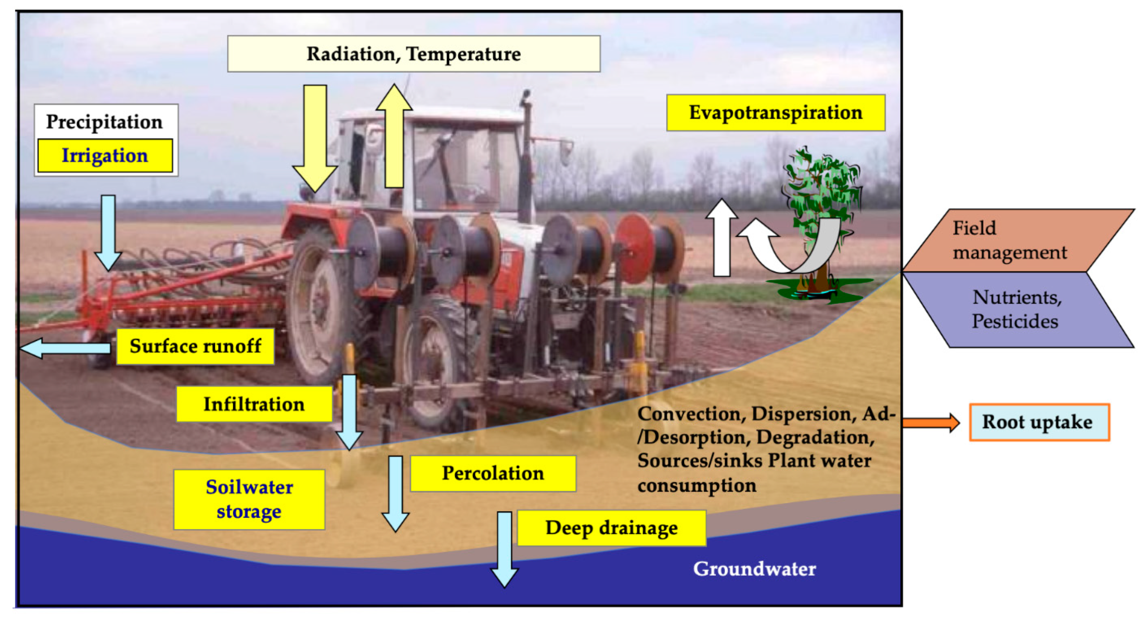 Agronomy 11 00306 g004 Agronomy 11 00306 g004