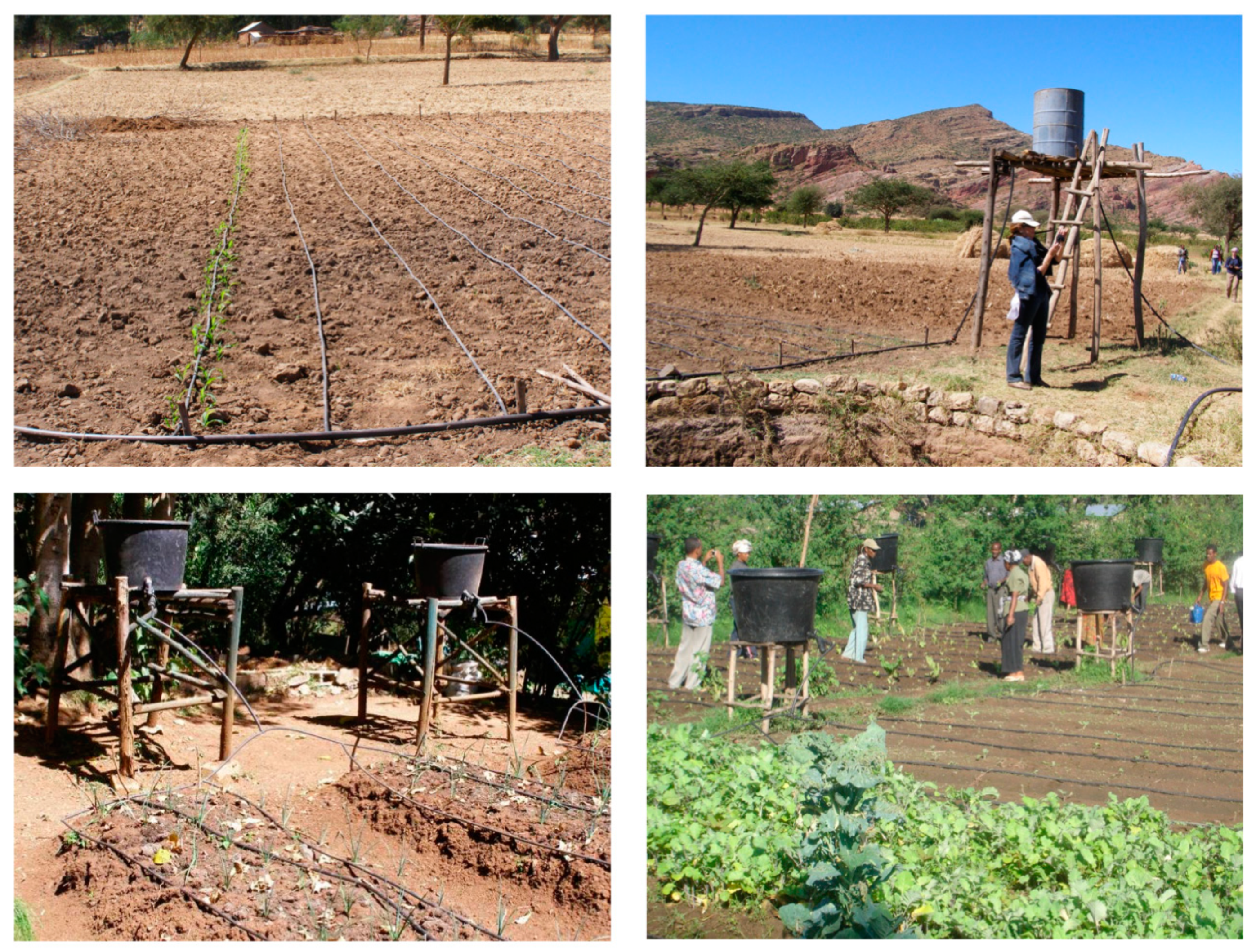 Agronomy 11 00306 g012 Agronomy 11 00306 g012