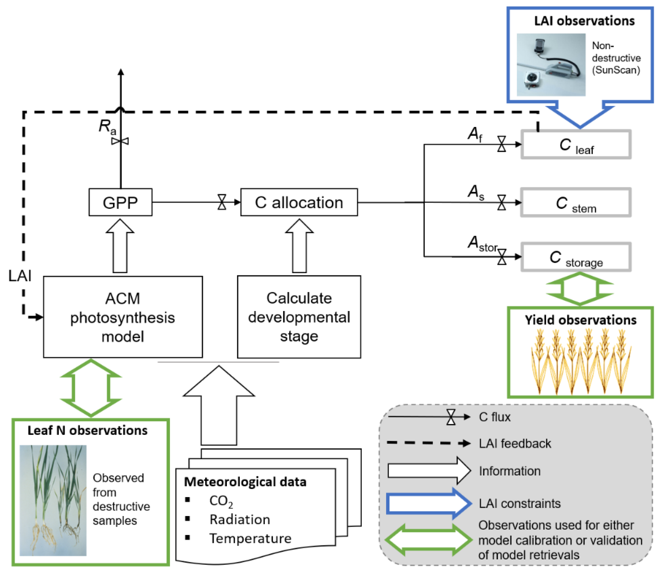 Agronomy 11 00314 g002