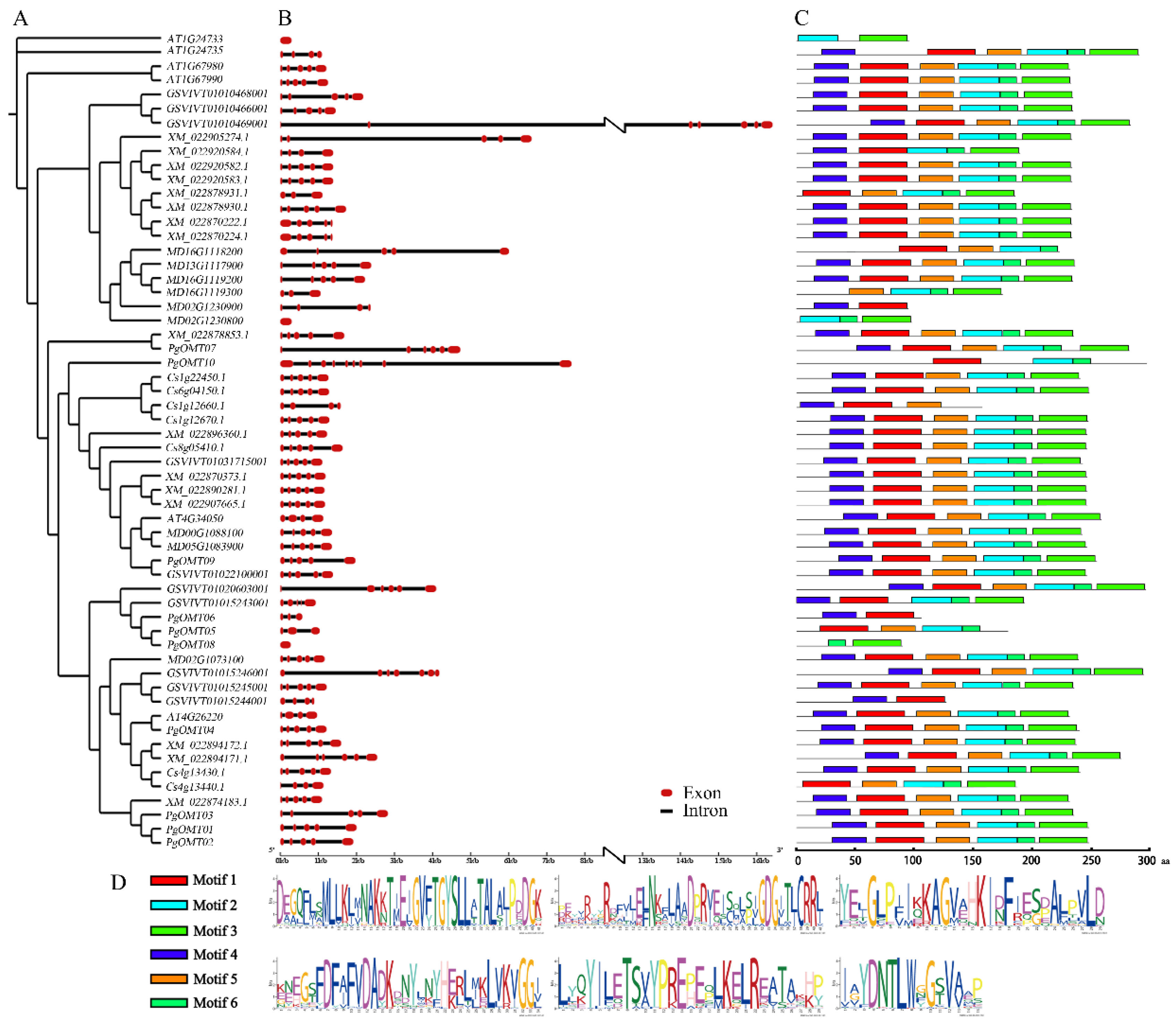 Agronomy 11 00318 g002