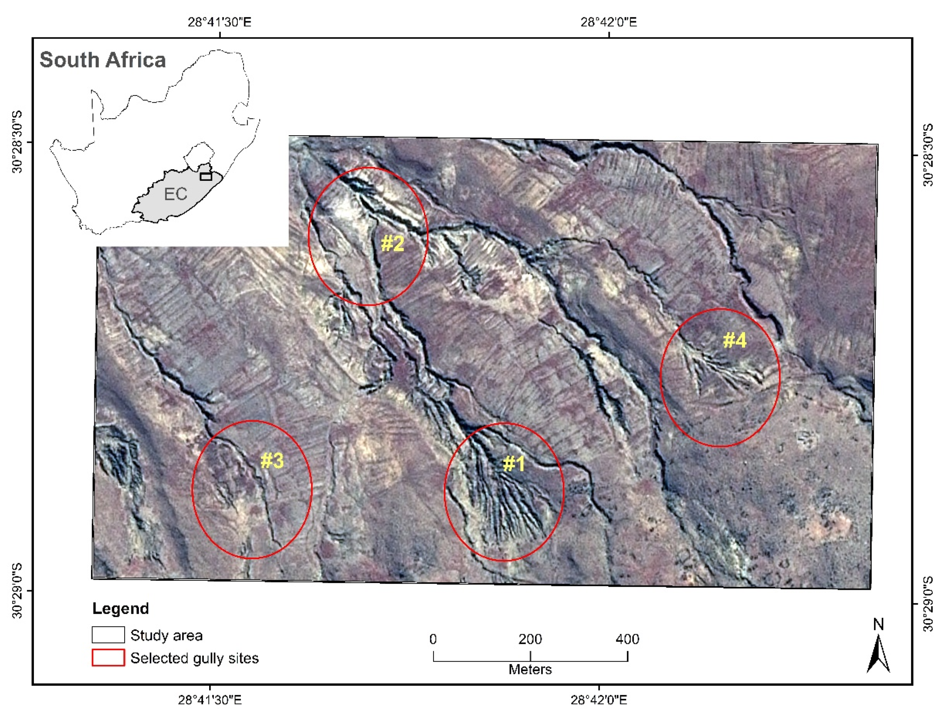Agronomy 11 00333 g001 Agronomy 11 00333 g001
