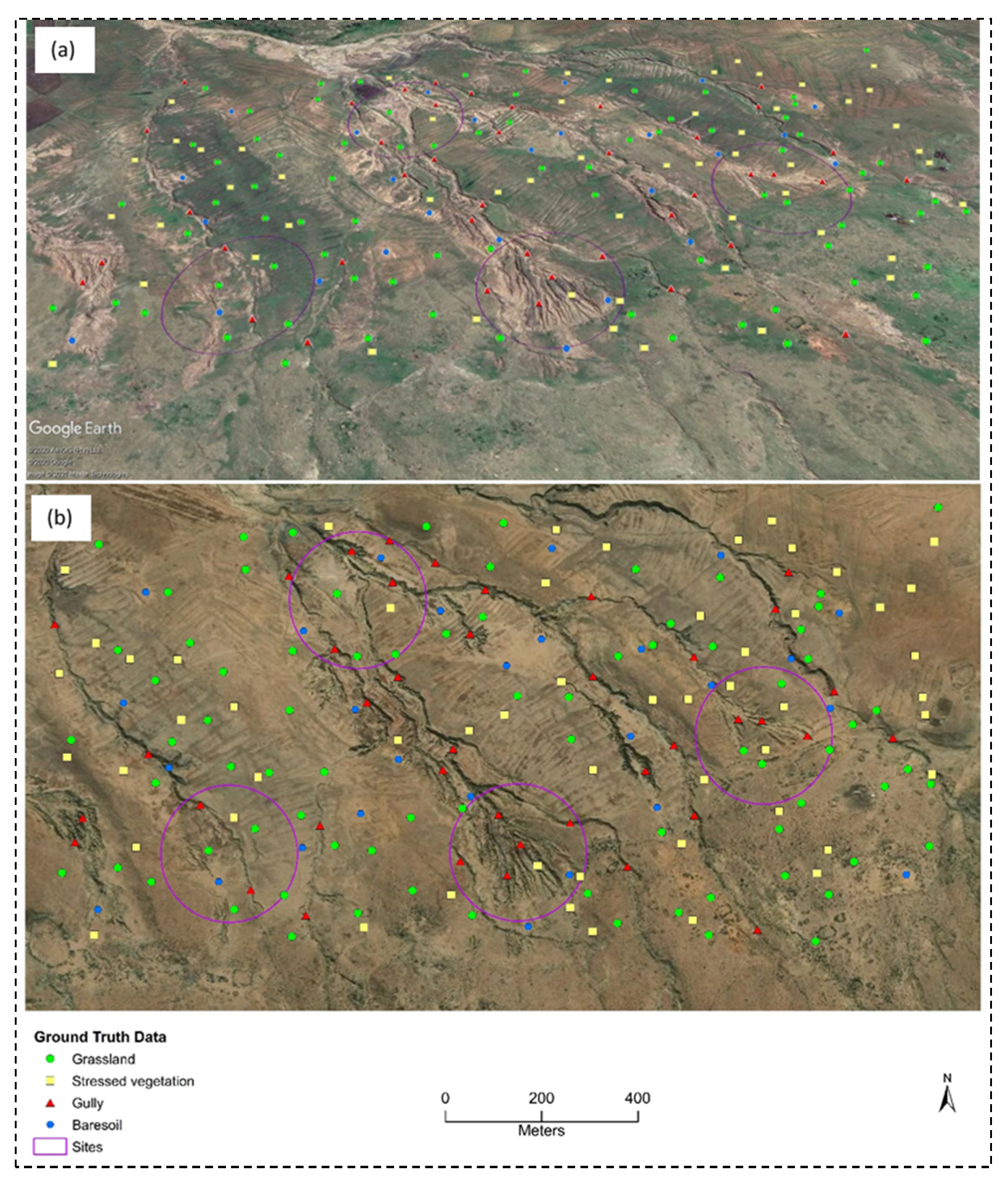 Agronomy 11 00333 g002 Agronomy 11 00333 g002