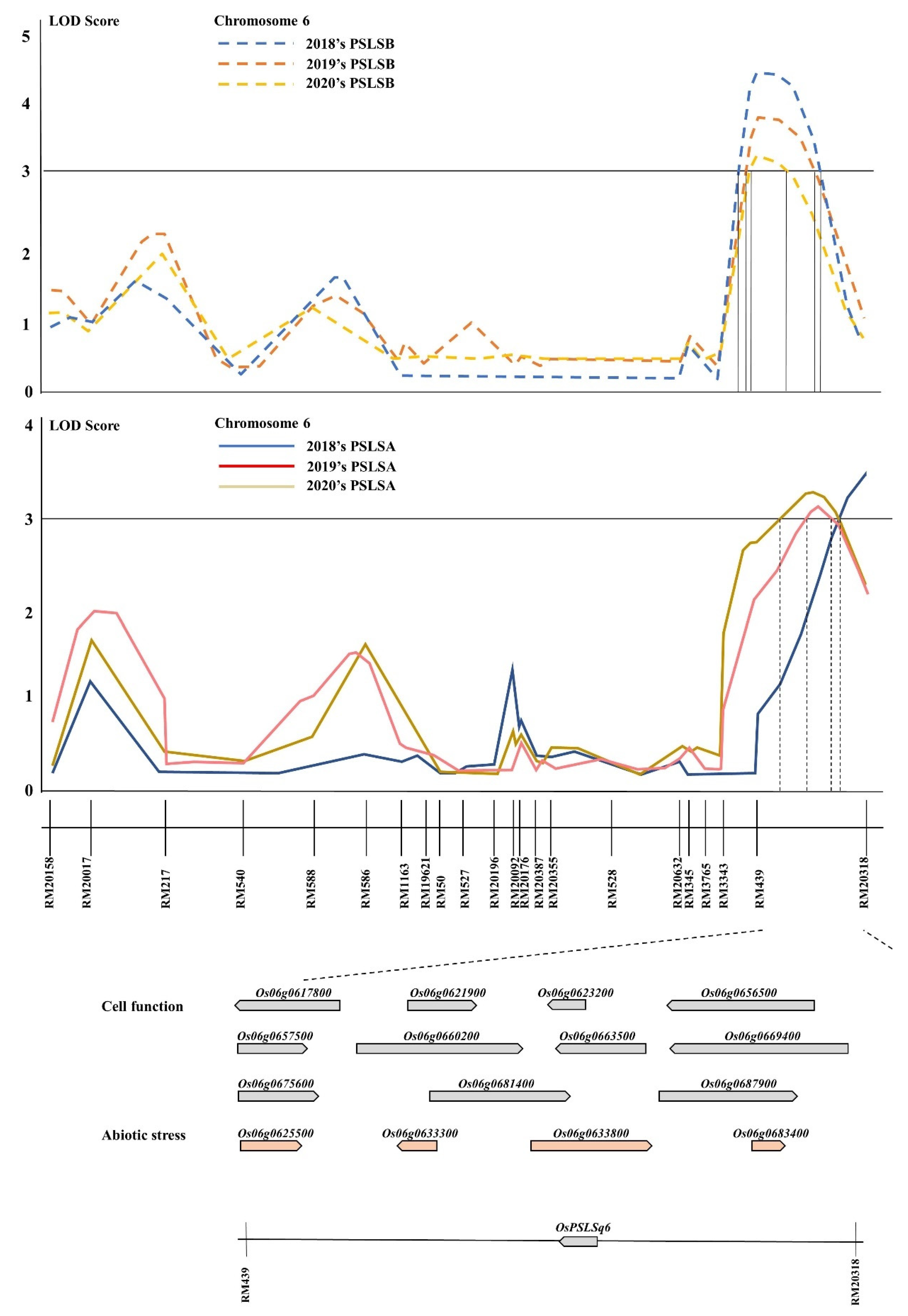 Agronomy 11 00334 g003