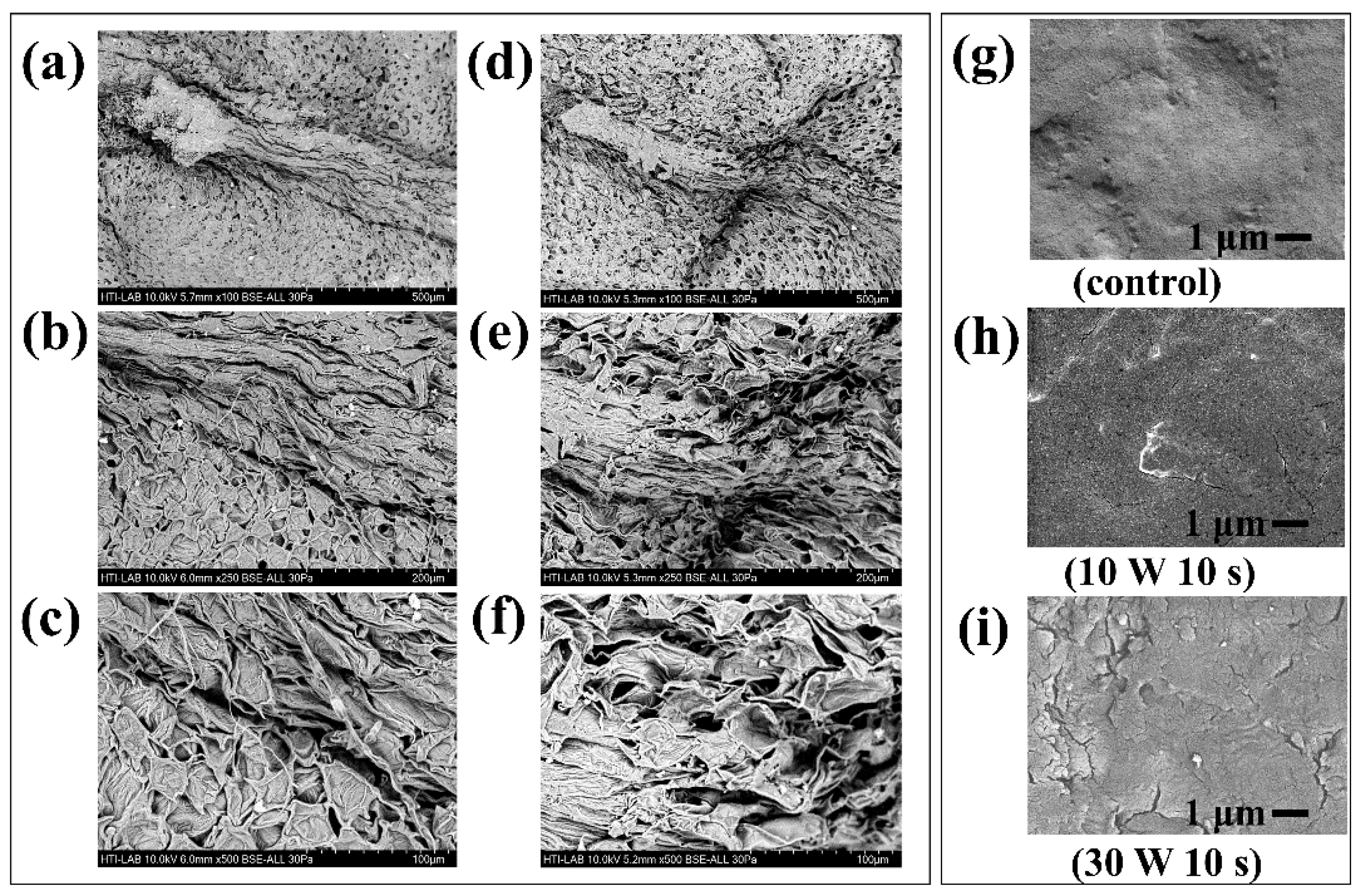 Agronomy 11 00338 g007