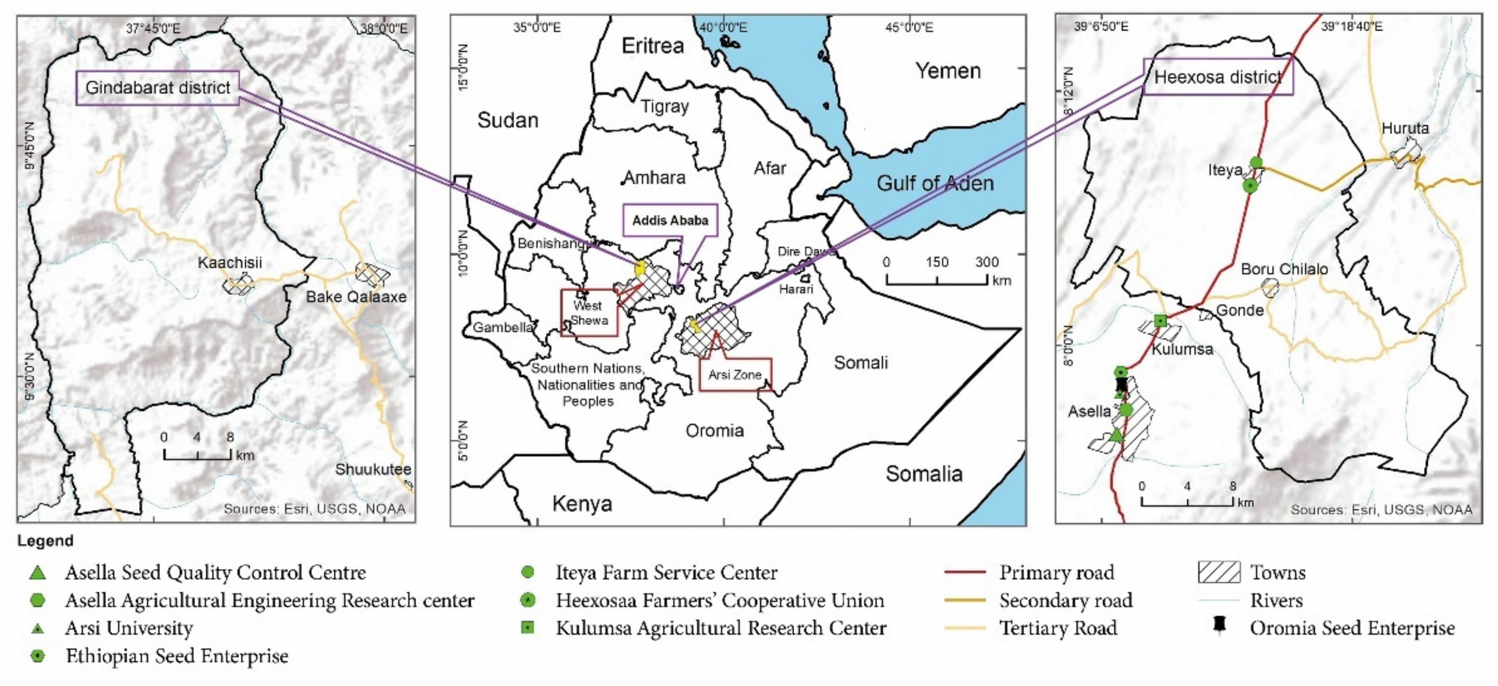 Agronomy 11 00372 g001