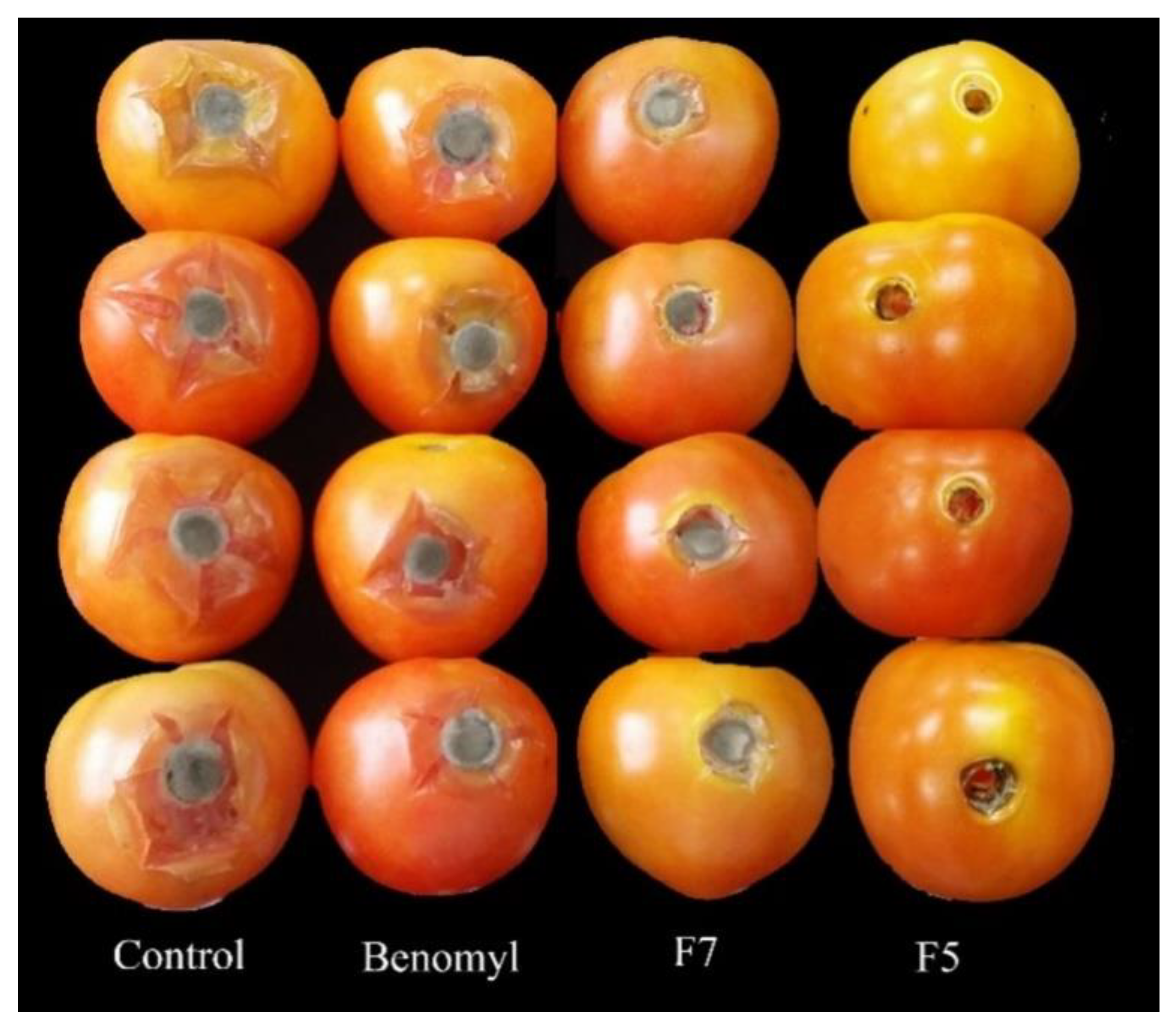 Agronomy 11 00373 g007 Agronomy 11 00373 g007